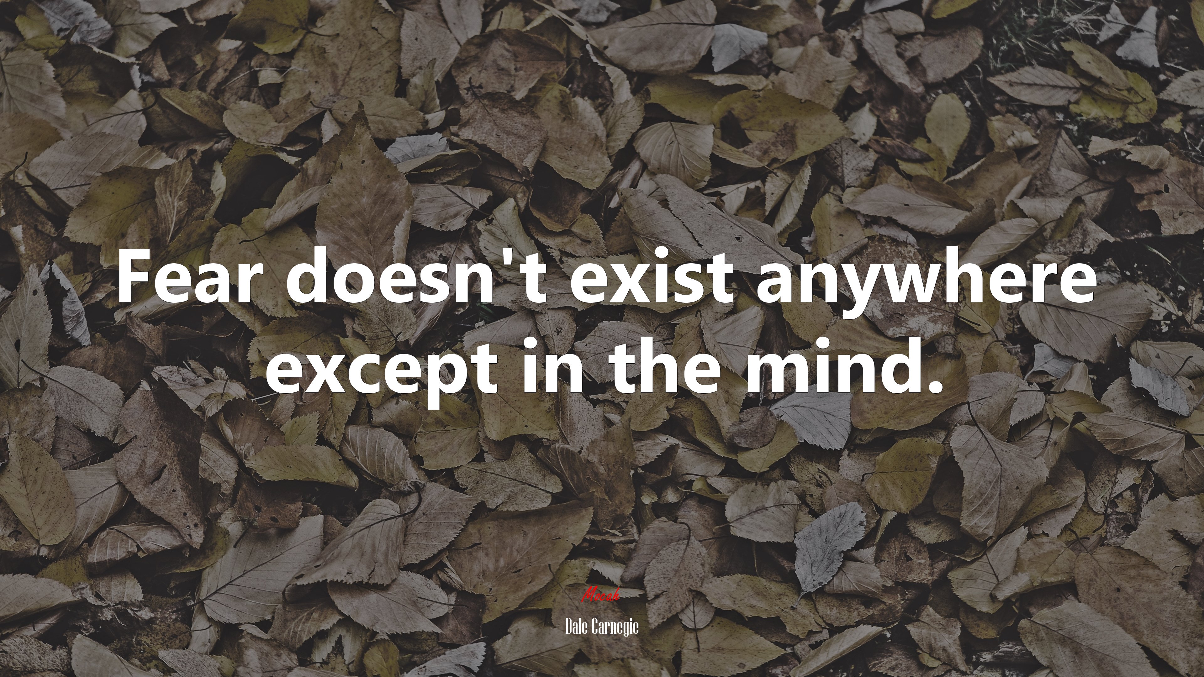 Fear doesn’t exist anywhere except in the mind. | Dale Carnegie quote HD Wallpaper