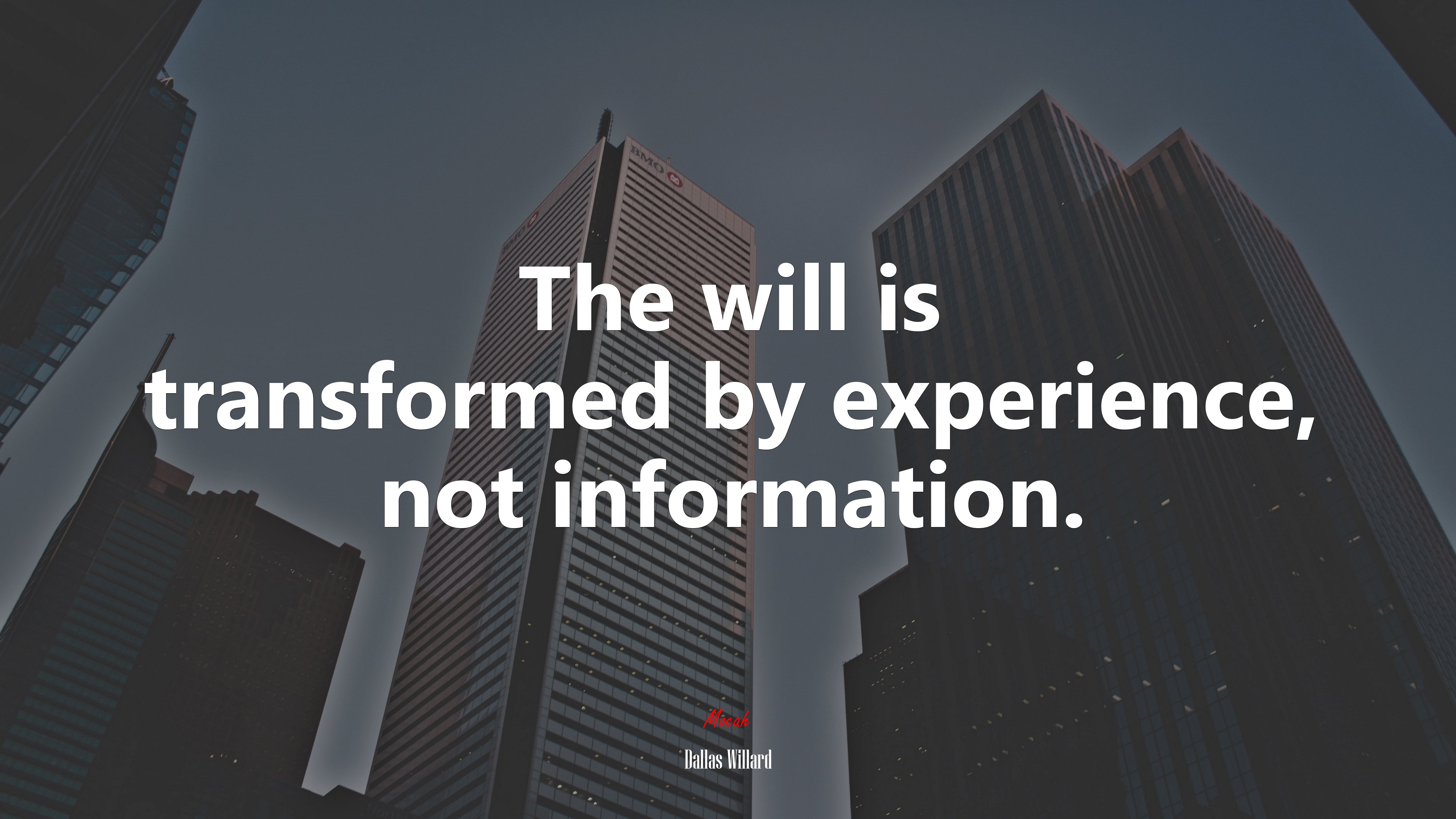 The will is transformed by experience, not information. | Dallas Willard quote HD Wallpaper