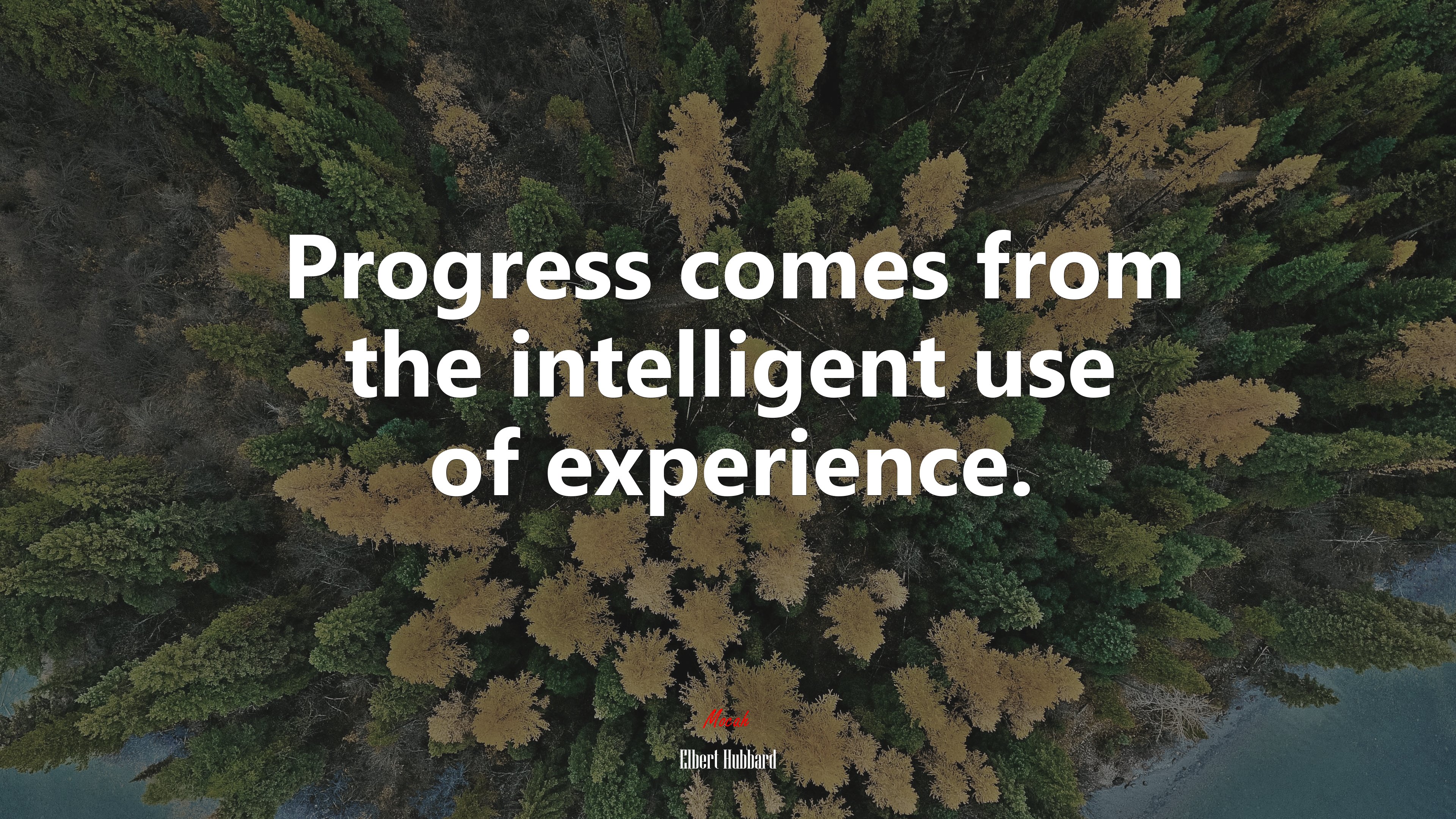 Progress comes from the intelligent use of experience. | Elbert Hubbard quote HD Wallpaper