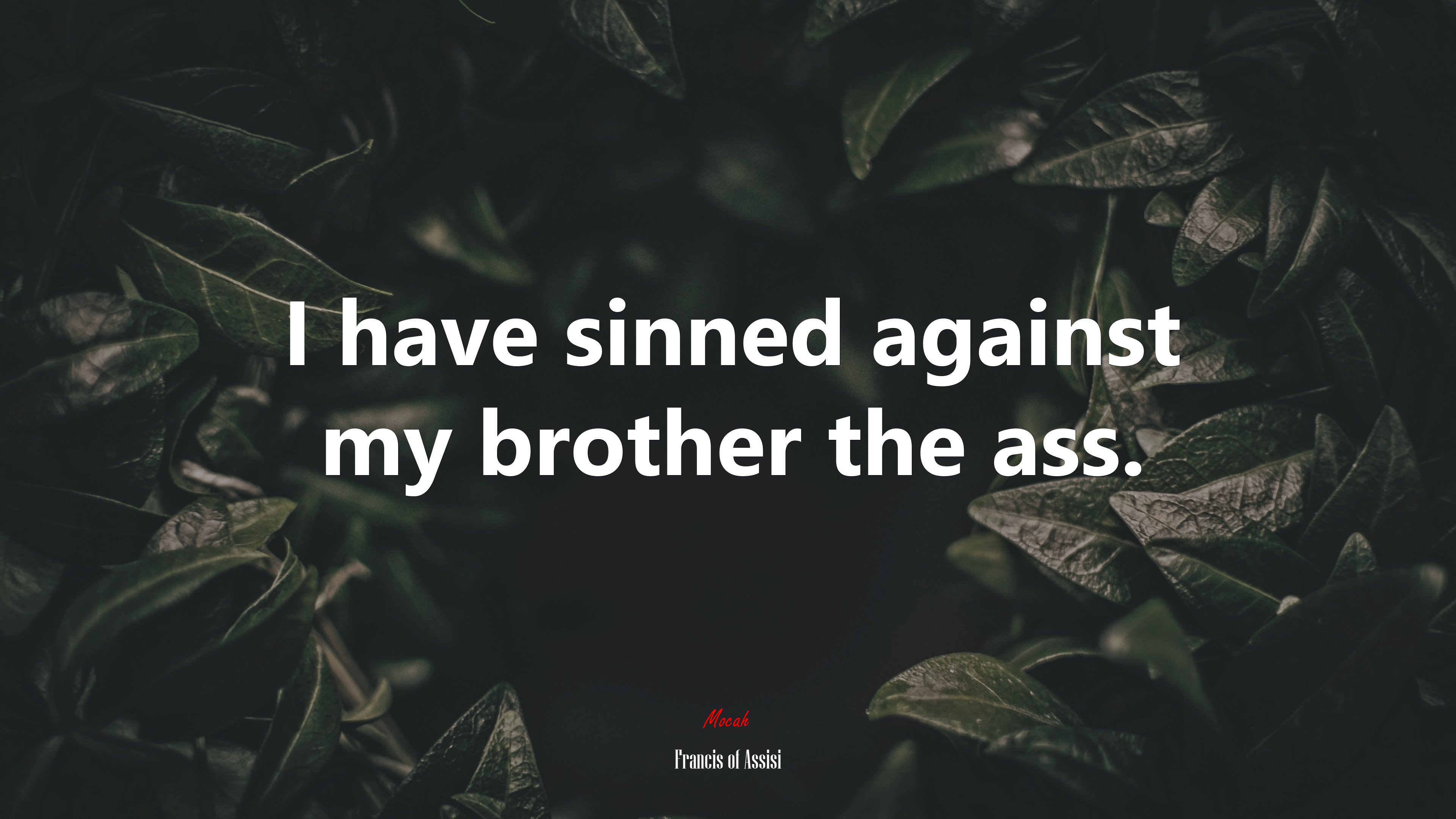 I have sinned against my brother the ass. | Francis of Assisi quote HD Wallpaper
