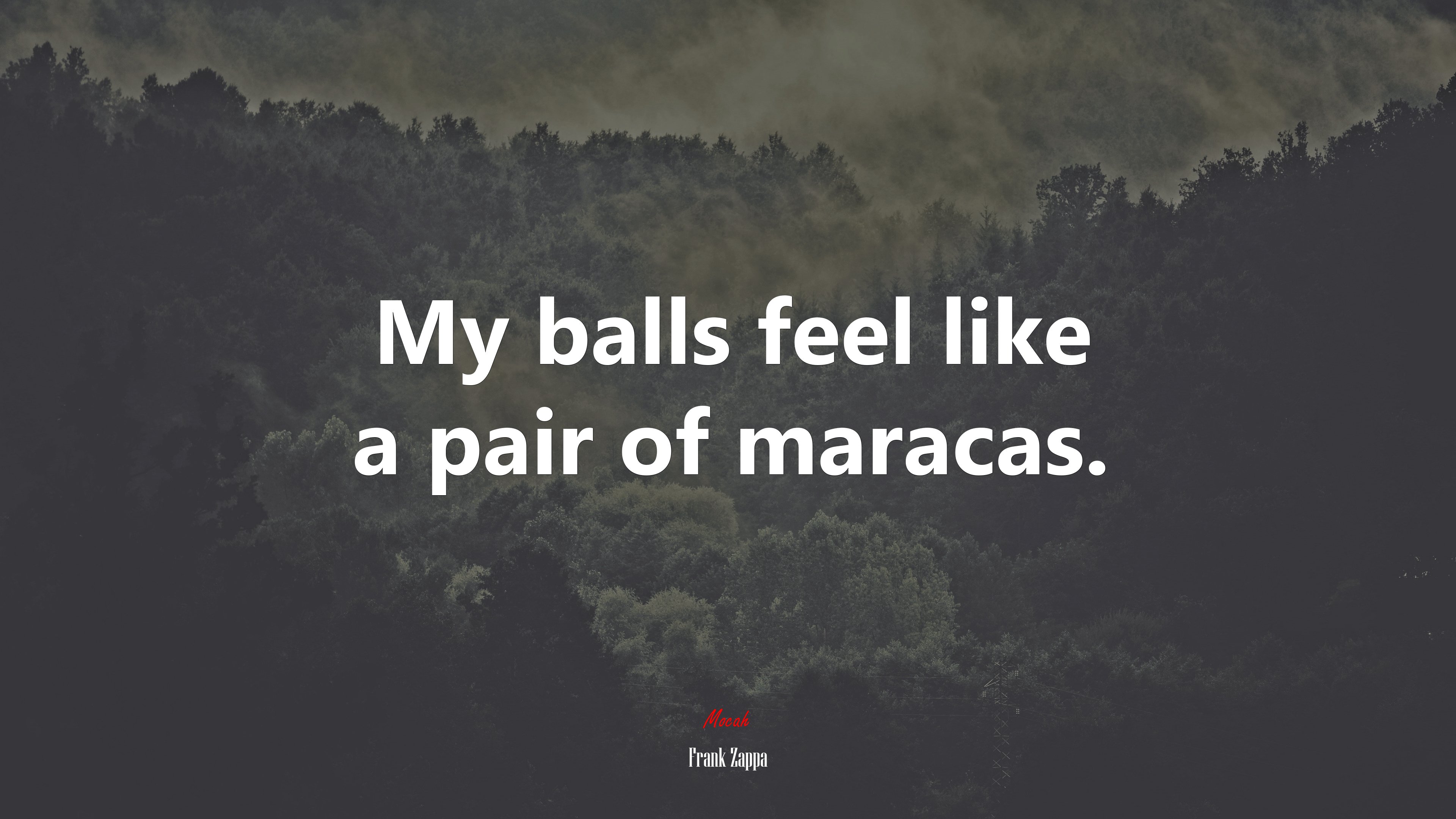 My balls feel like a pair of maracas. | Frank Zappa quote HD Wallpaper