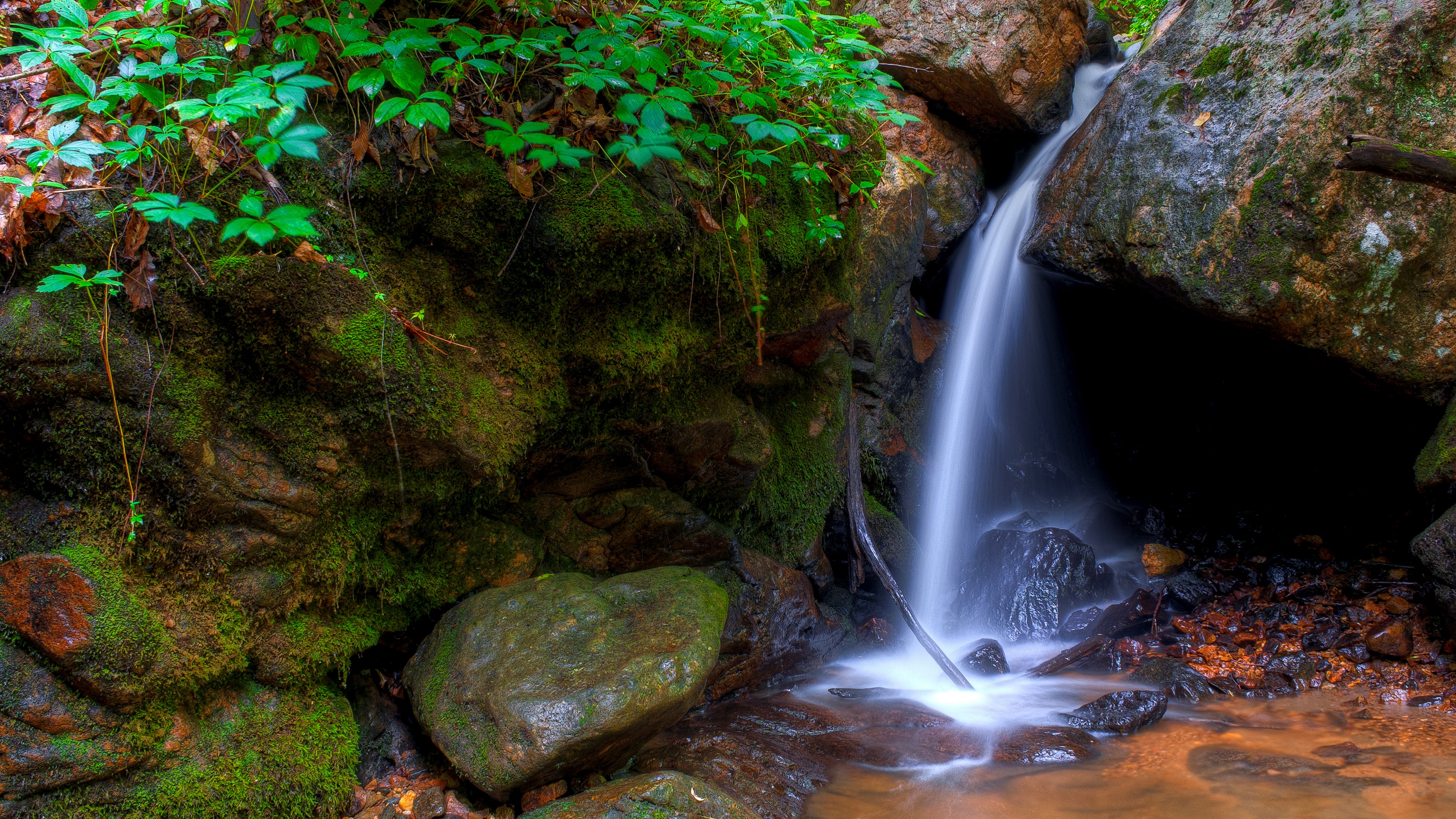Small waterfall cascading over mossy rocks in a forest HD Wallpaper