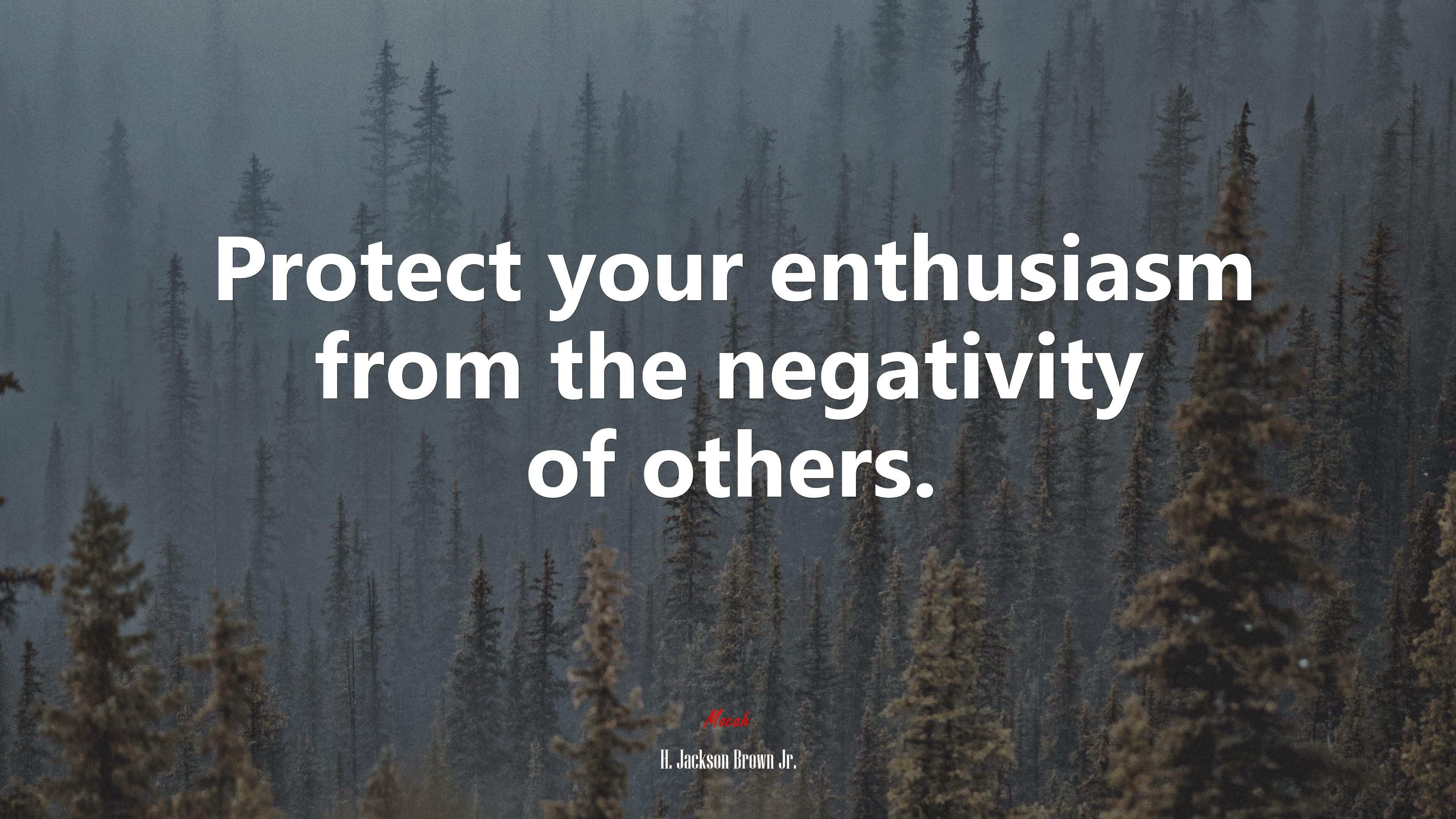 Protect your enthusiasm from the negativity of others. | H. Jackson Brown Jr. quote HD Wallpaper