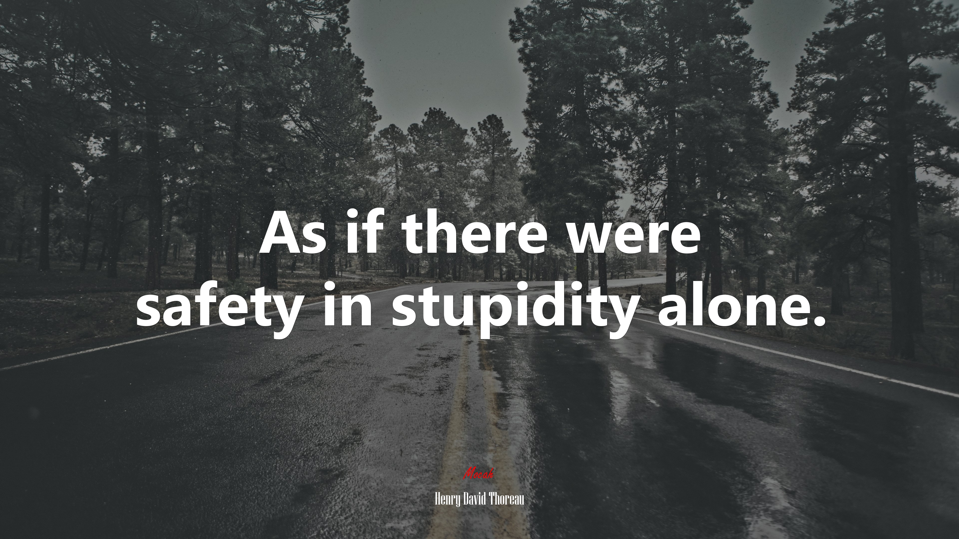As if there were safety in stupidity alone. | Henry David Thoreau quote HD Wallpaper