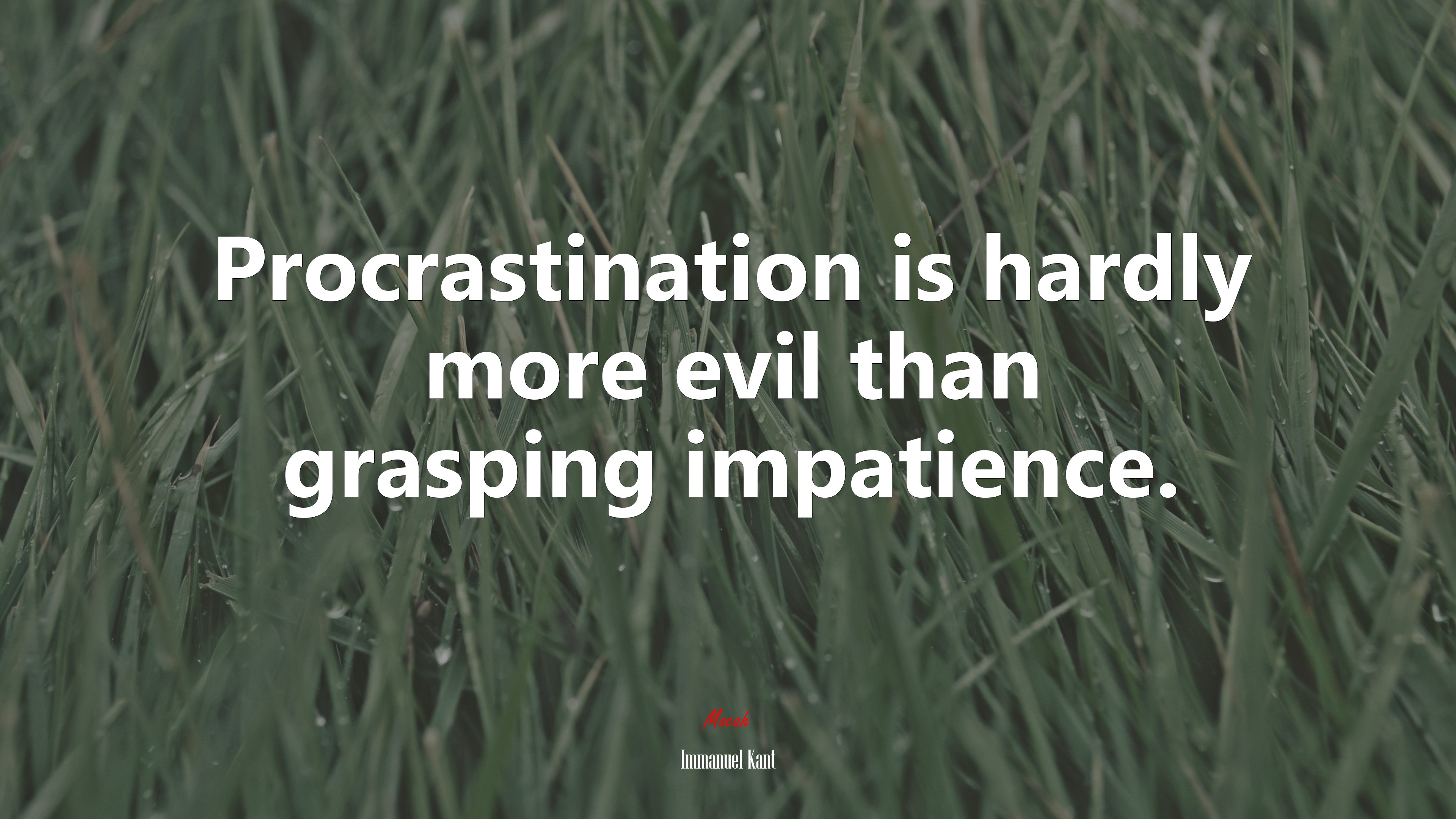 Procrastination is hardly more evil than grasping impatience. | Immanuel Kant quote HD Wallpaper