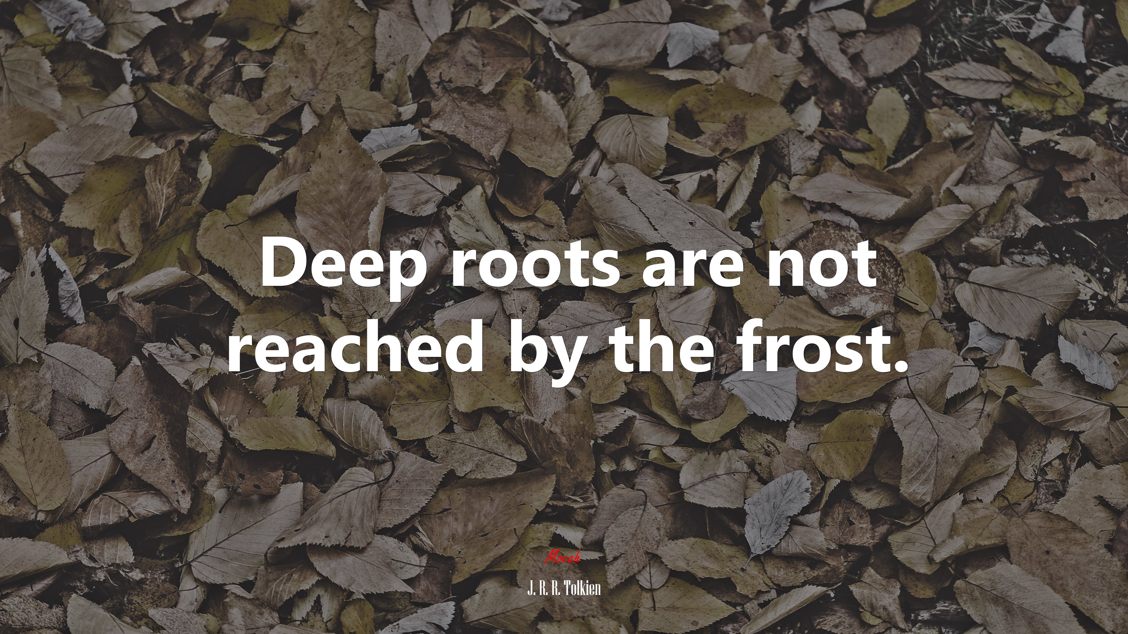 Deep roots are not reached by the frost. | J. R. R. Tolkien quote HD Wallpaper