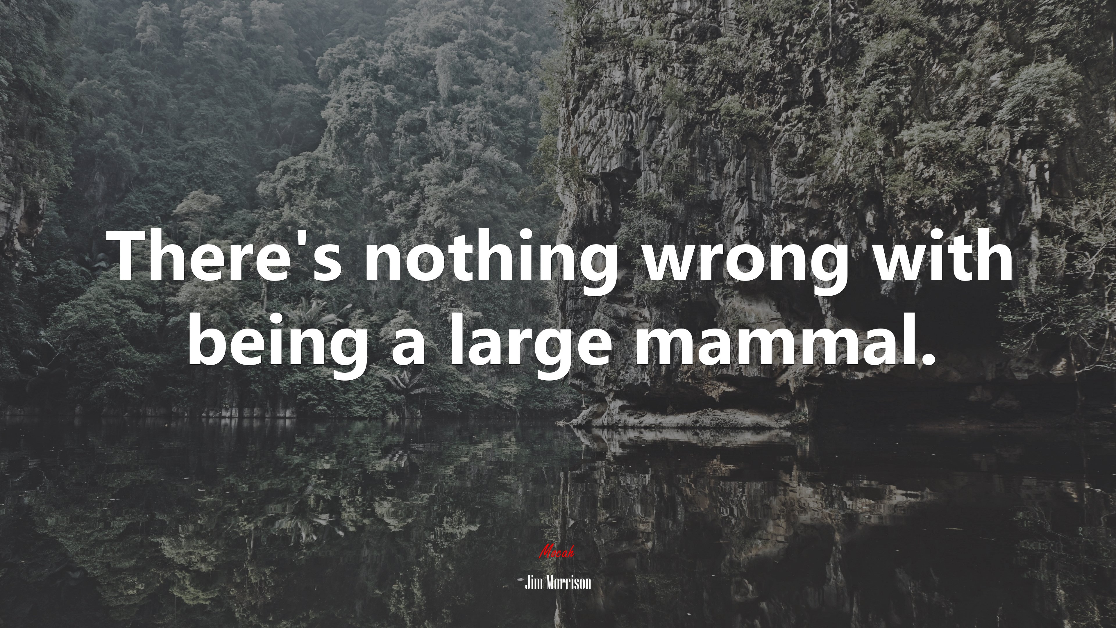 There’s nothing wrong with being a large mammal. | Jim Morrison quote HD Wallpaper