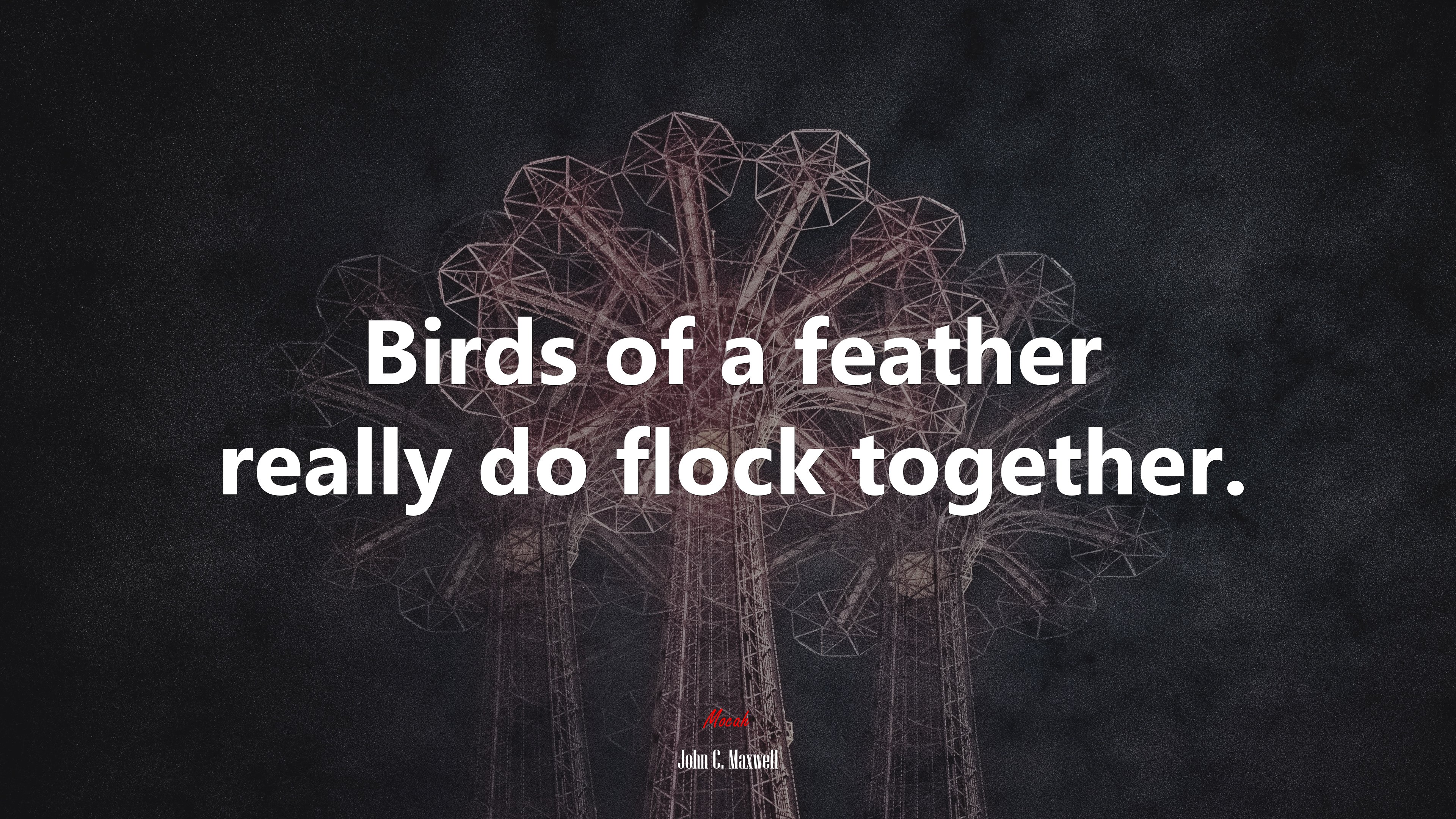 Birds of a feather really do flock together. | John C. Maxwell quote HD Wallpaper