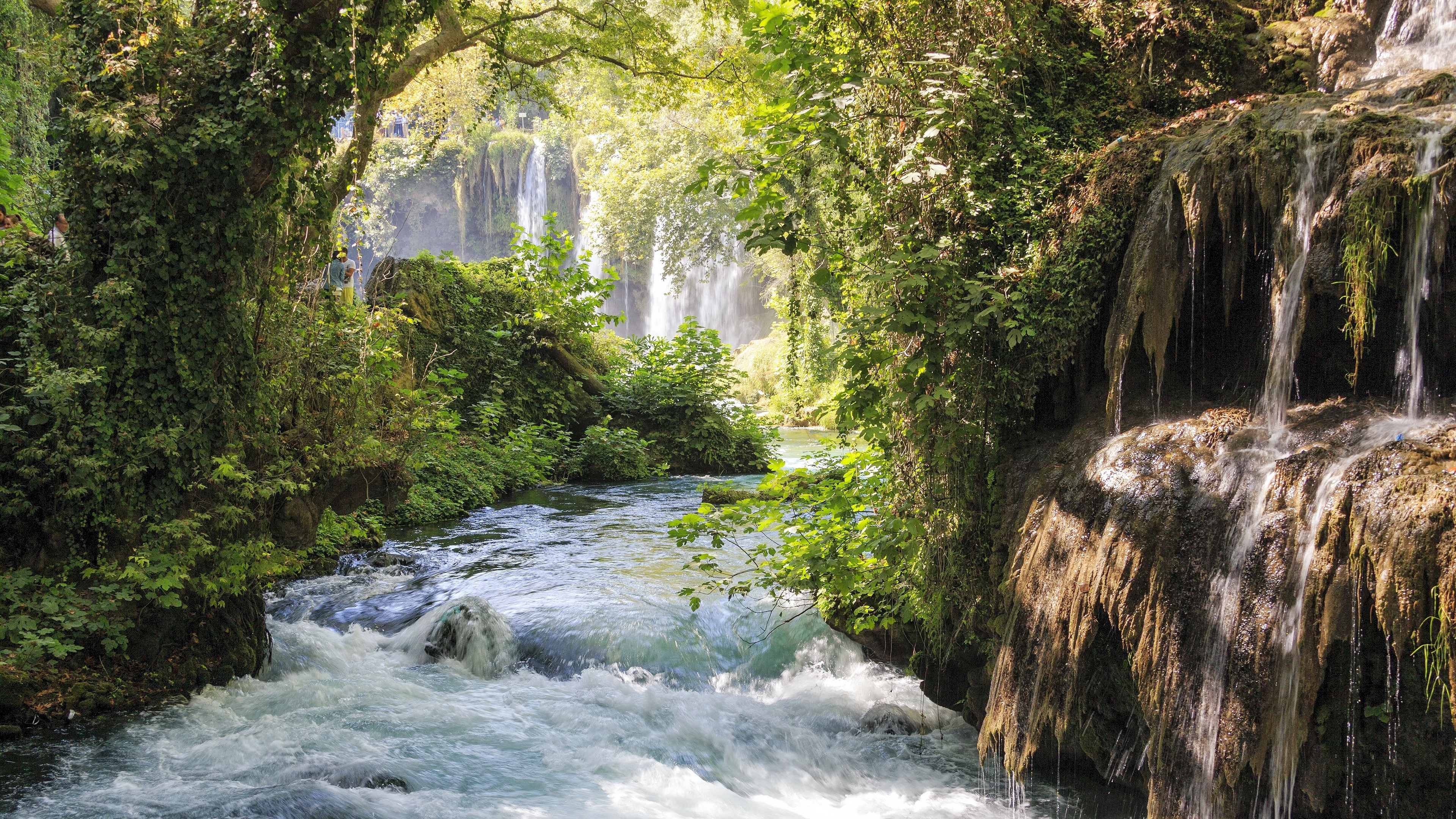 Waterfalls and a river in a lush green forest HD Wallpaper