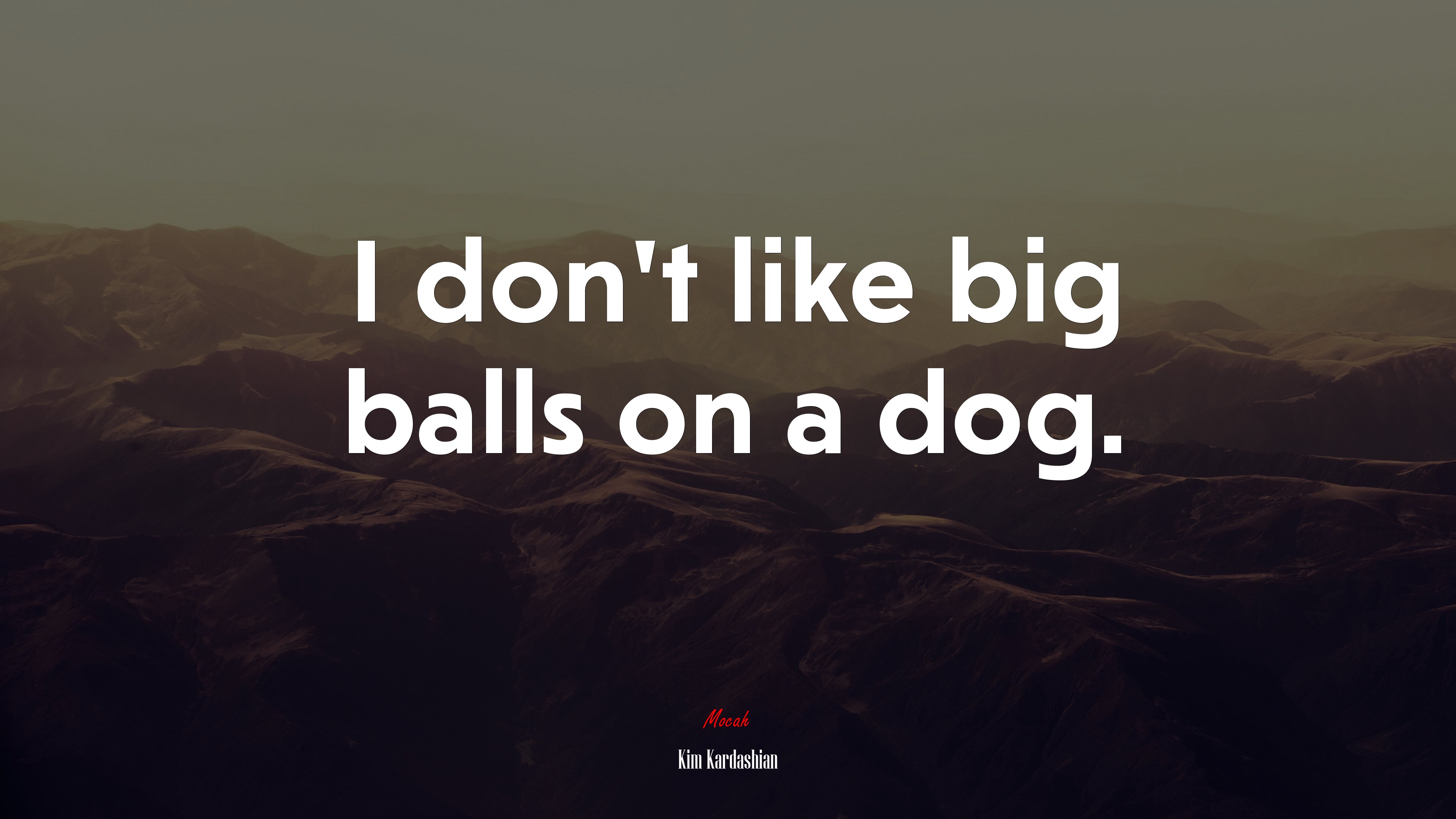 I don’t like big balls on a dog. | Kim Kardashian quote HD Wallpaper