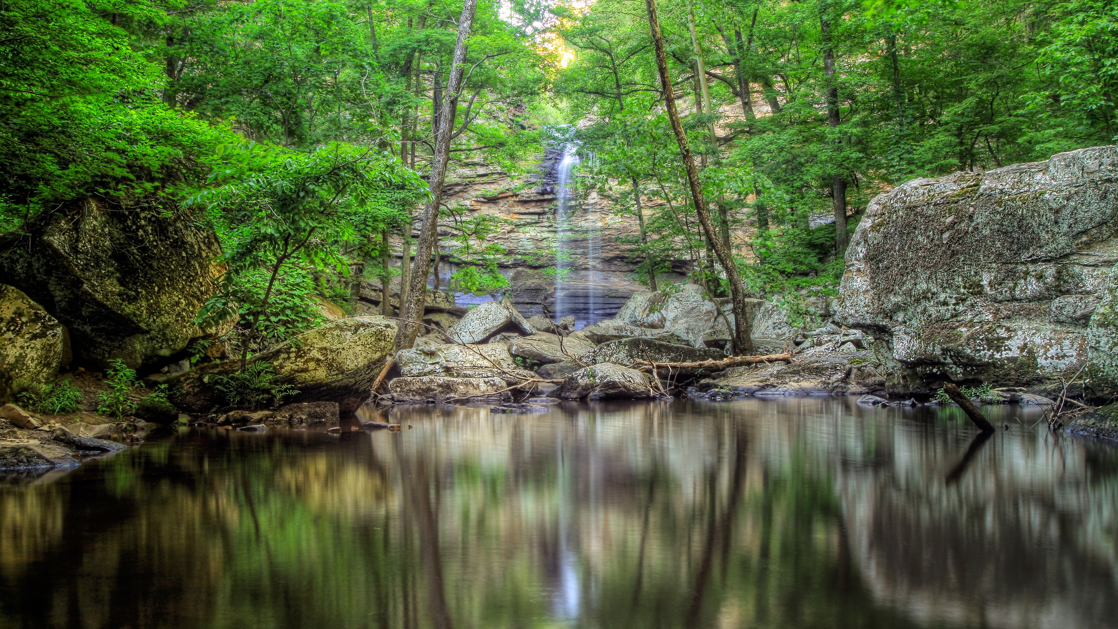 Waterfall cascading into a pool in a lush forest HD Wallpaper