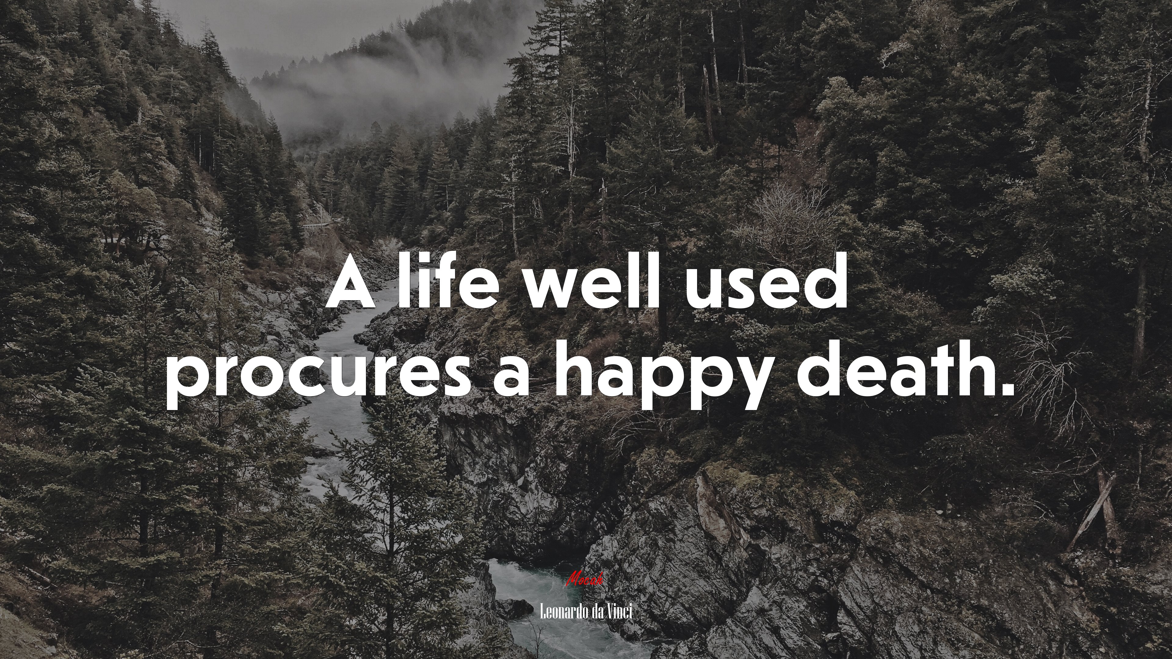 A life well used procures a happy death. | Leonardo da Vinci quote HD Wallpaper