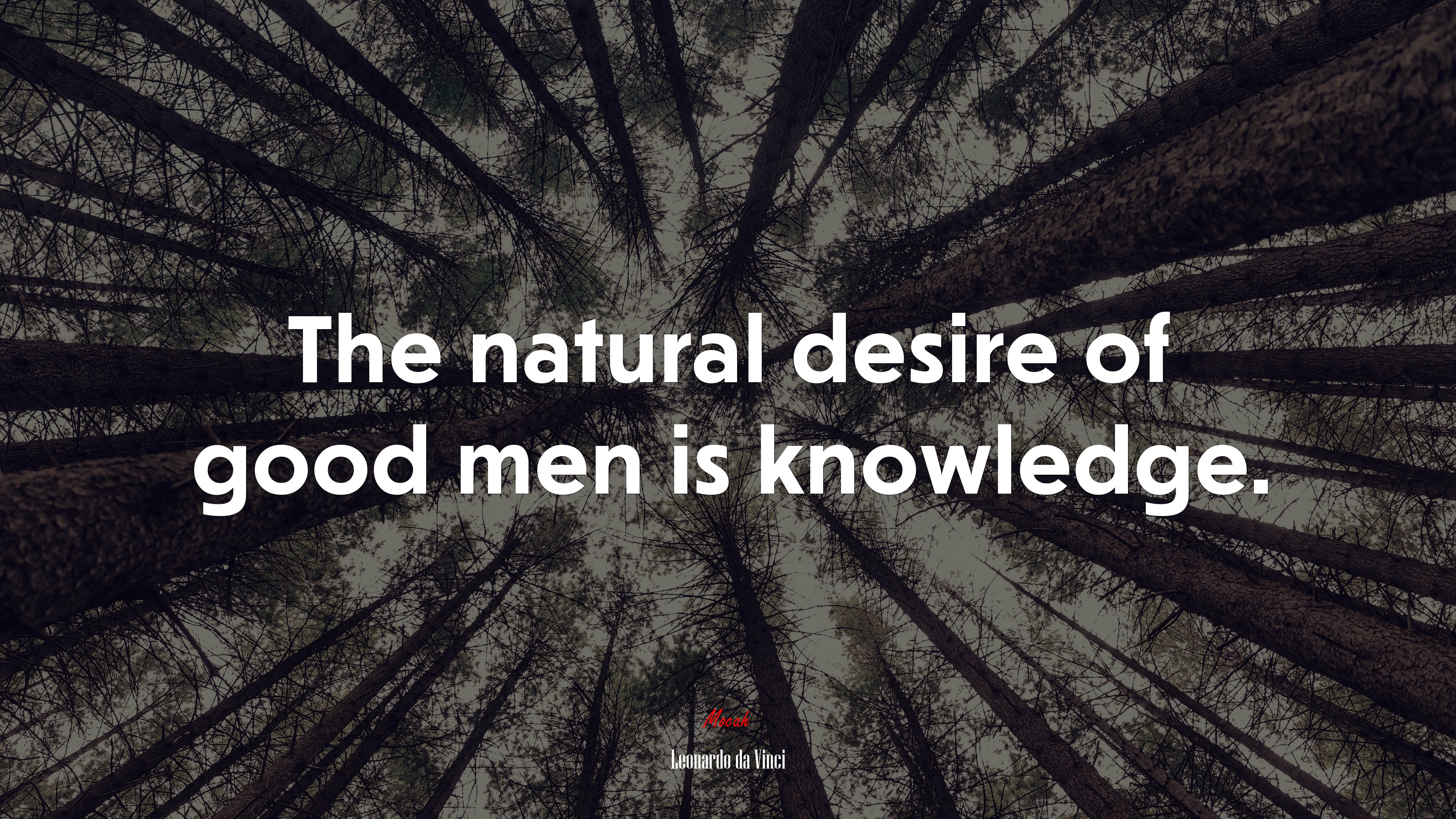 The natural desire of good men is knowledge. | Leonardo da Vinci quote HD Wallpaper