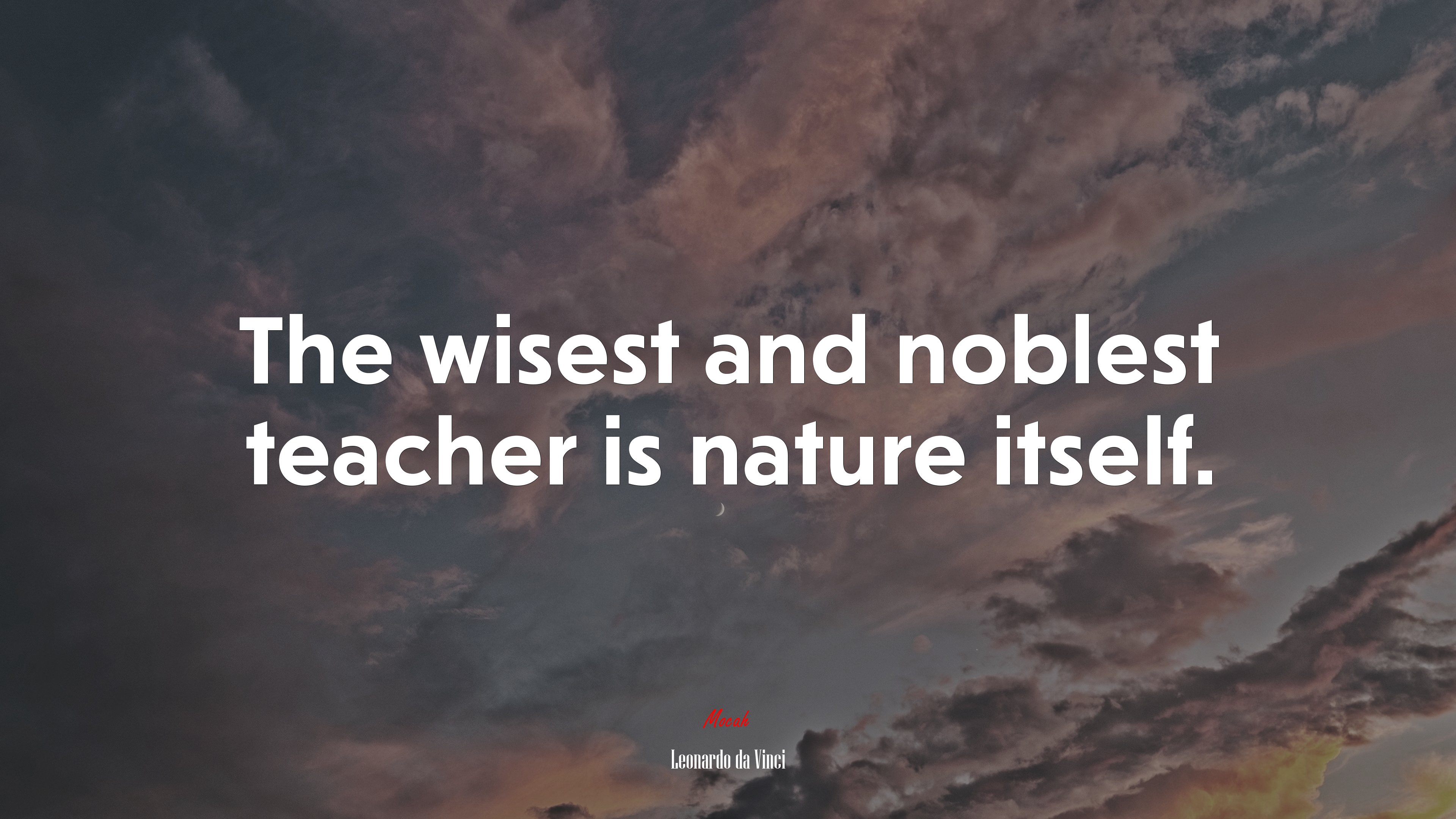 The wisest and noblest teacher is nature itself. | Leonardo da Vinci quote HD Wallpaper