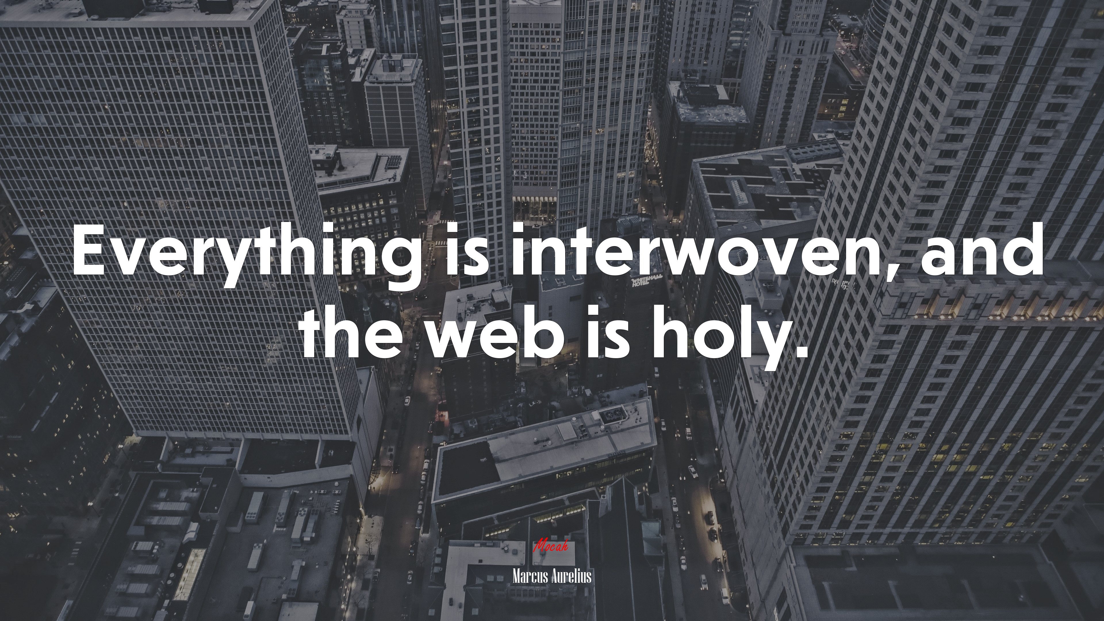 Everything is interwoven, and the web is holy. | Marcus Aurelius quote HD Wallpaper