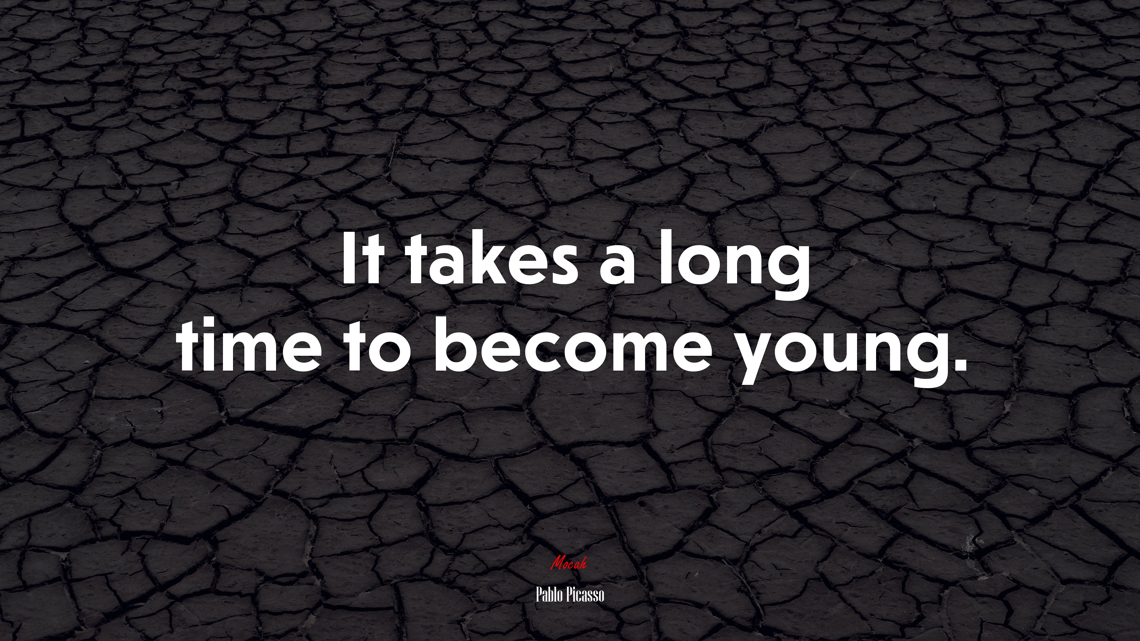 It takes a long time to become young. | Pablo Picasso quote HD Wallpaper