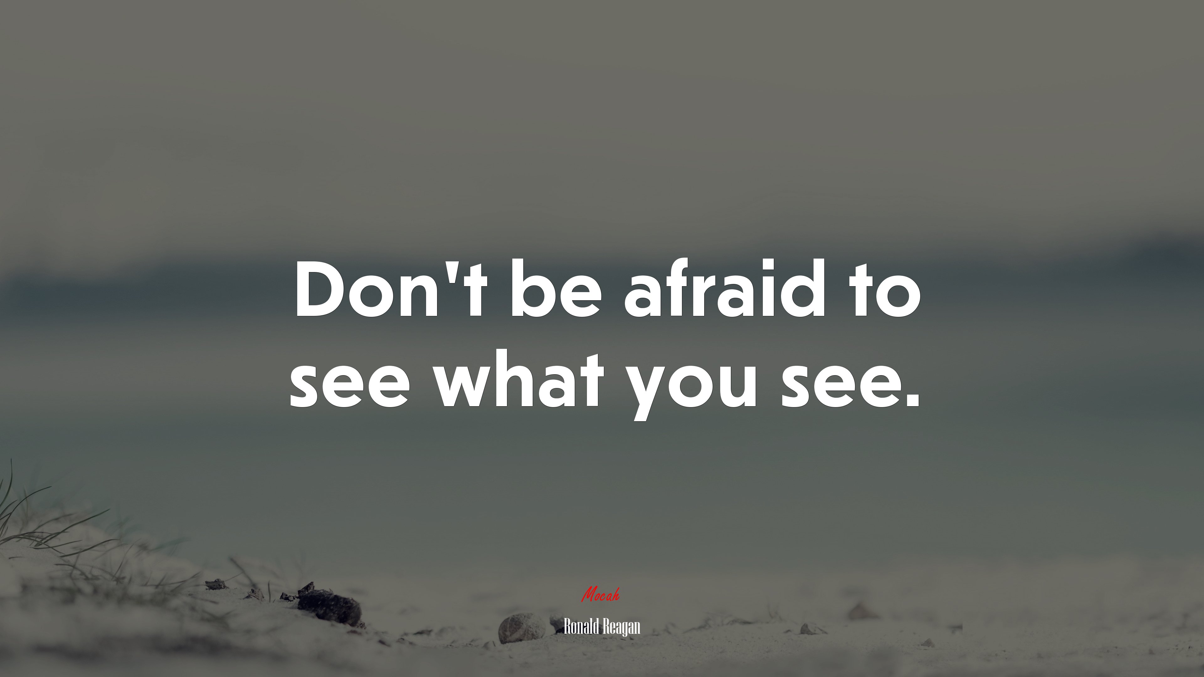 Don’t be afraid to see what you see. | Ronald Reagan quote HD Wallpaper