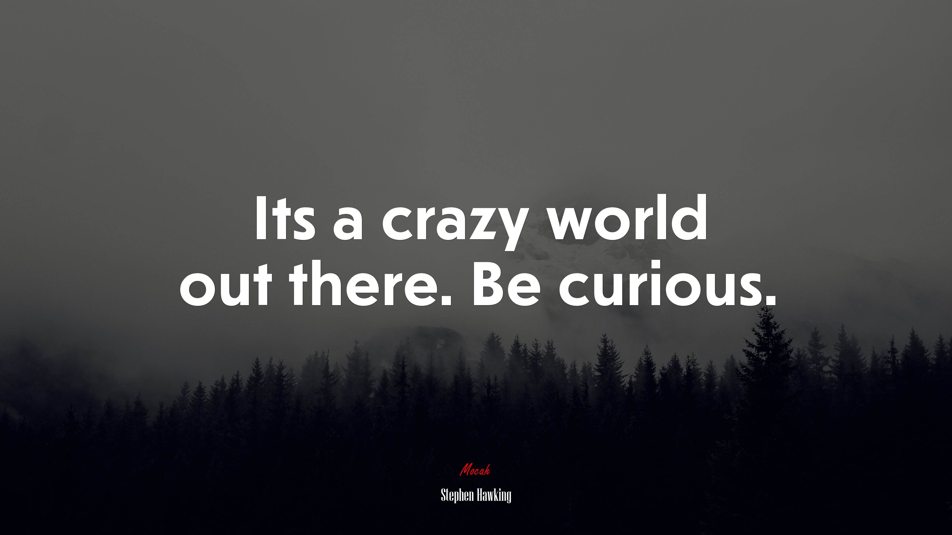 Its a crazy world out there. Be curious. | Stephen Hawking quote HD Wallpaper