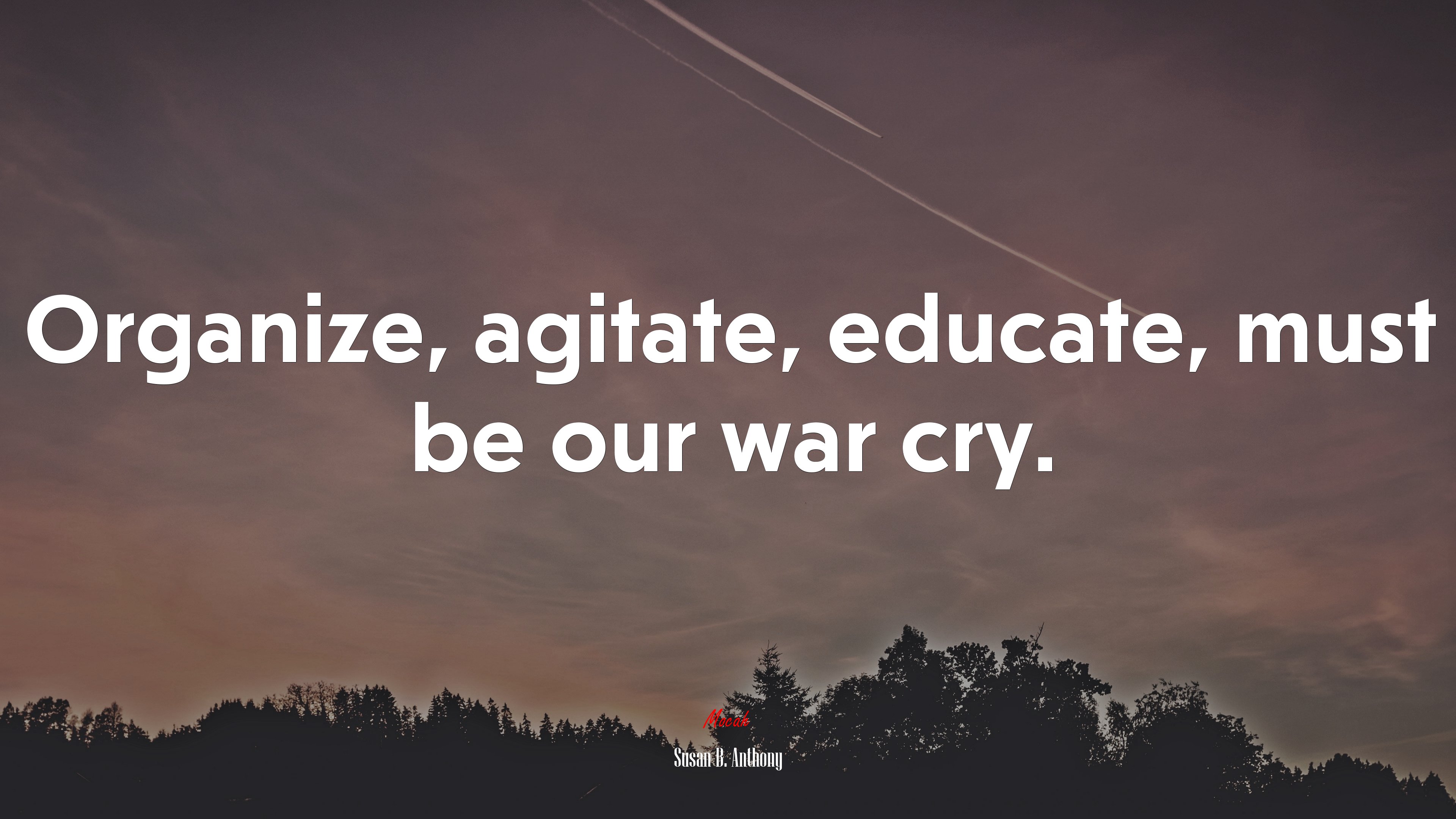 Organize, agitate, educate, must be our war cry. | Susan B. Anthony quote HD Wallpaper