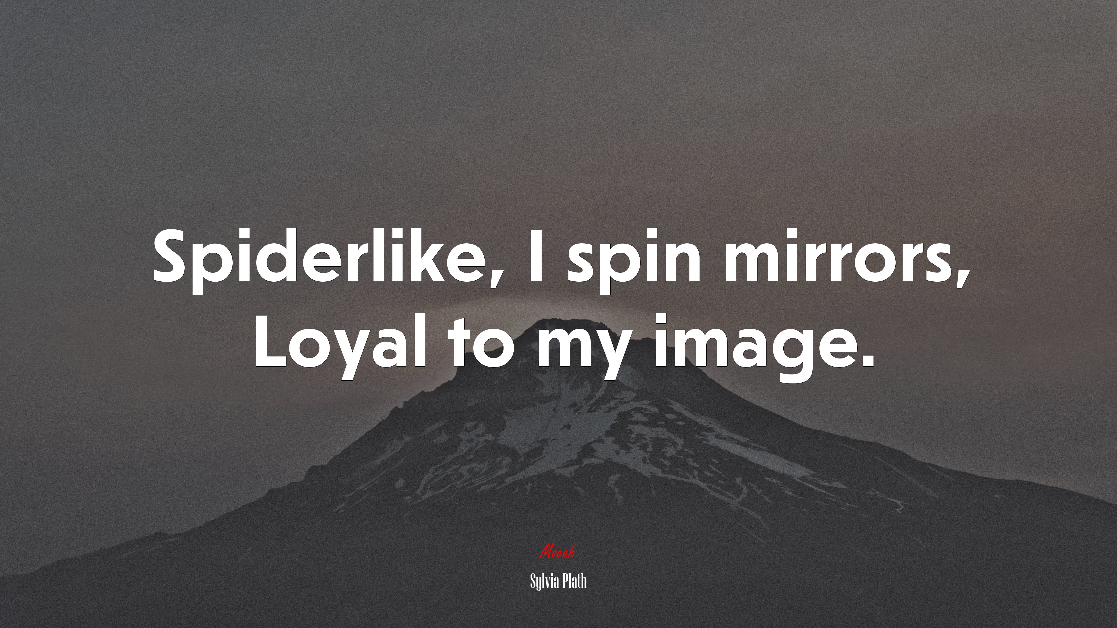 Spiderlike, I spin mirrors, Loyal to my image. | Sylvia Plath quote HD Wallpaper