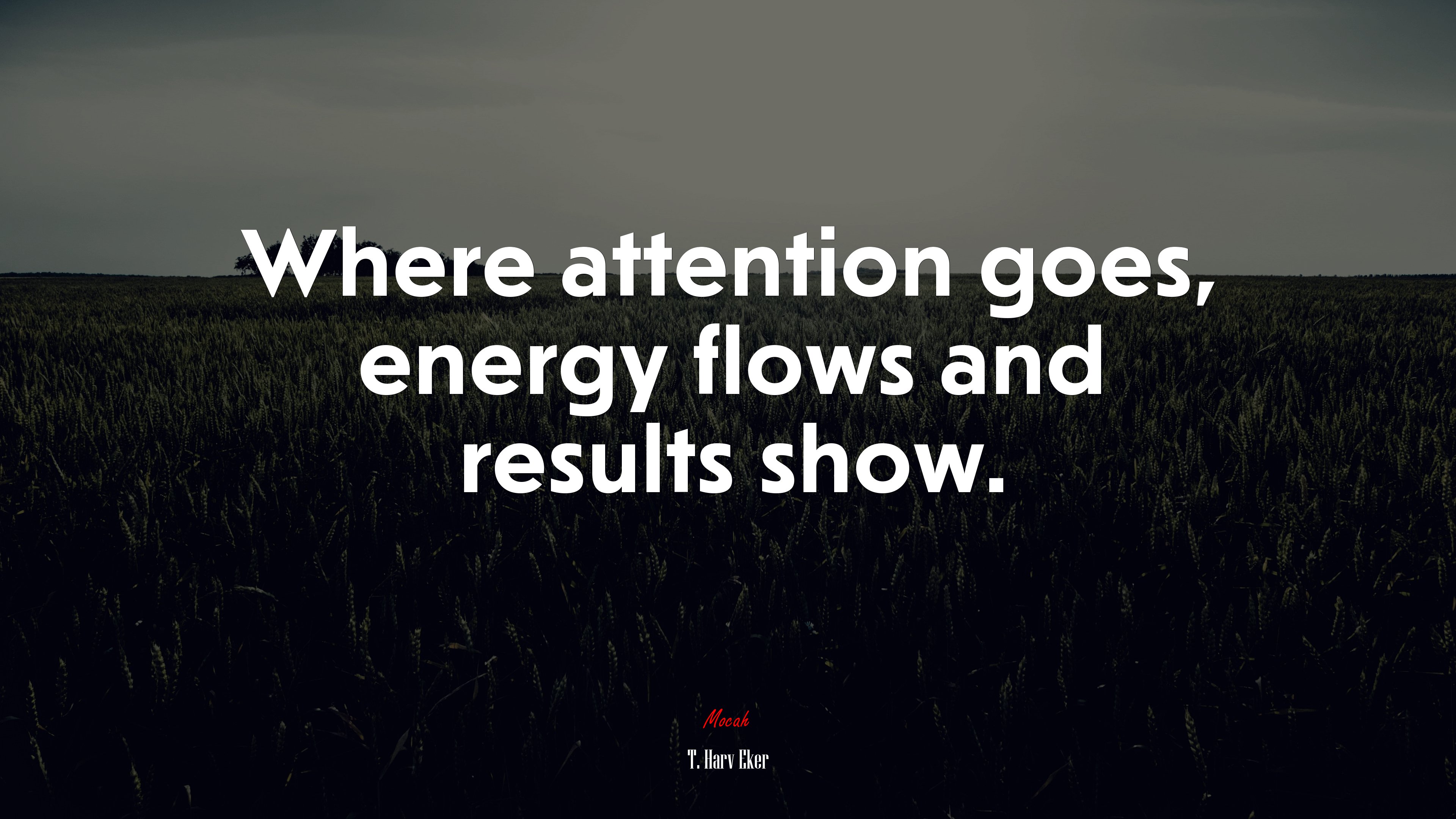 Where attention goes, energy flows and results show. | T. Harv Eker quote HD Wallpaper