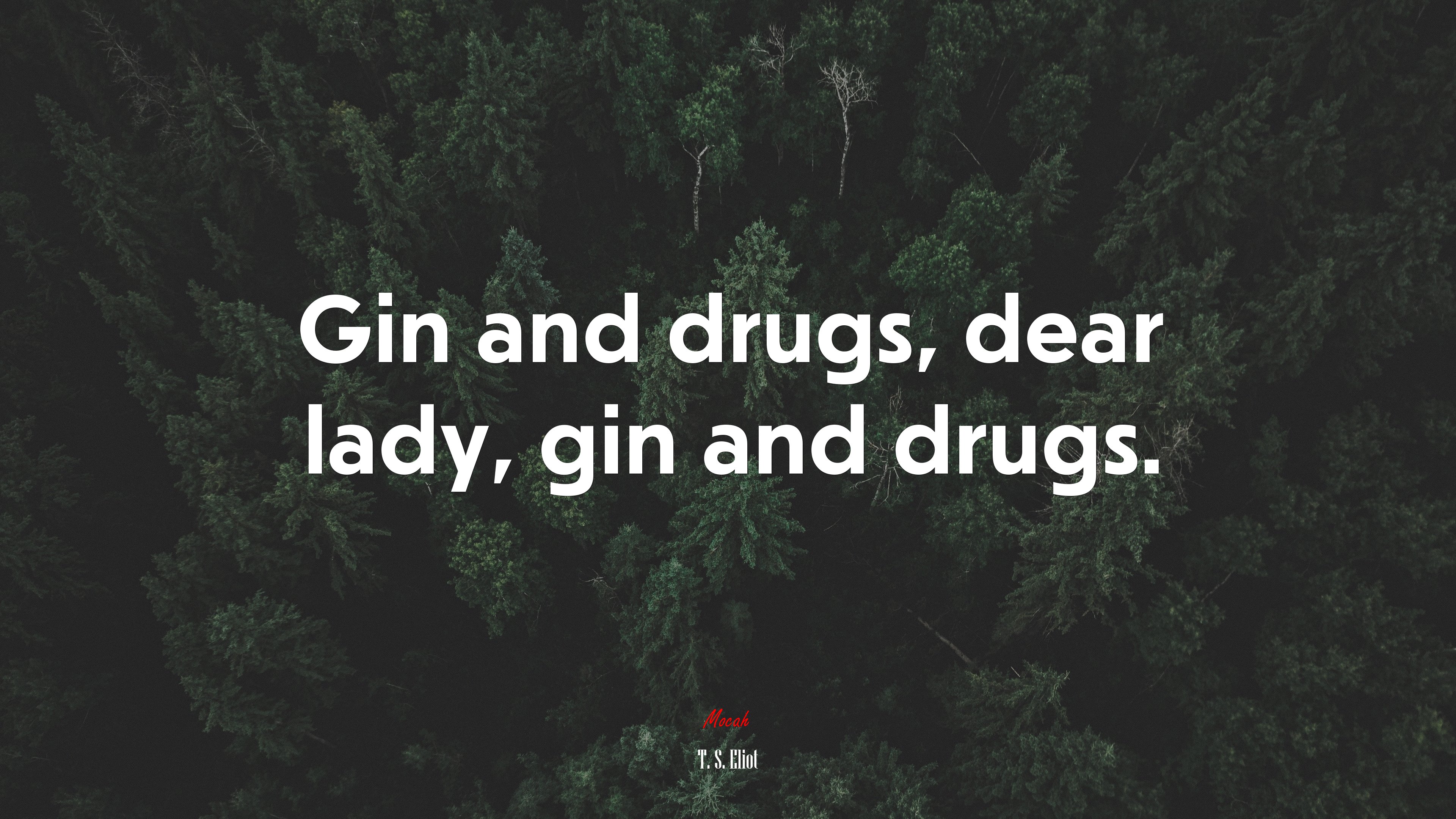 Gin and drugs, dear lady, gin and drugs. | T. S. Eliot quote HD Wallpaper