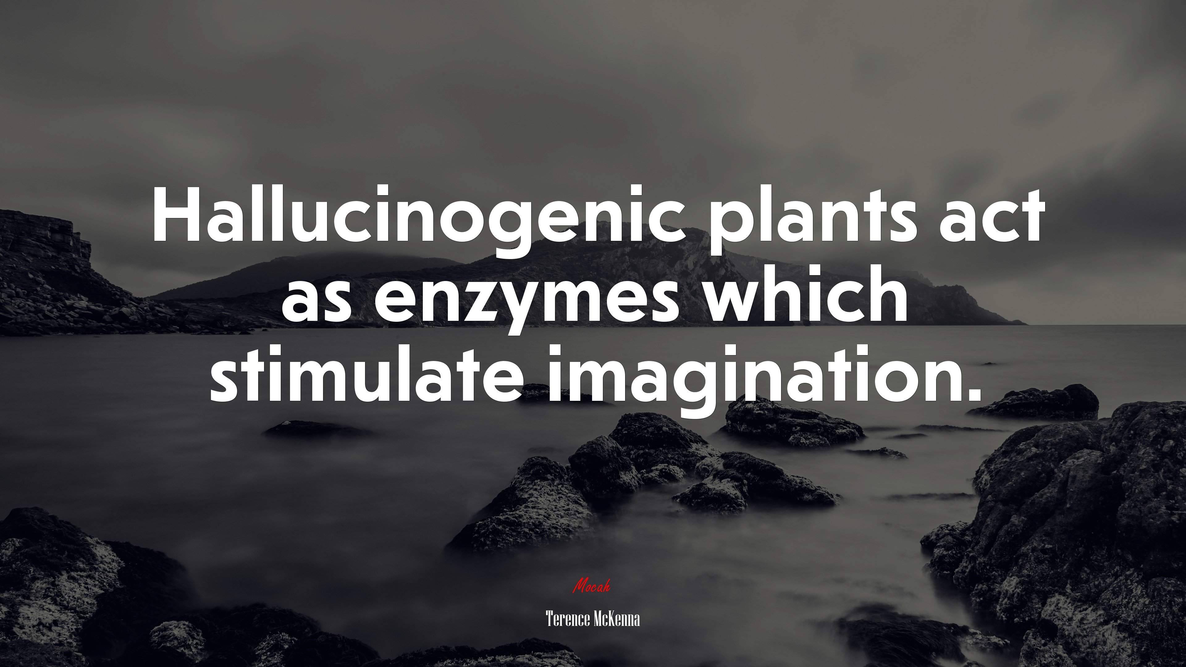 Hallucinogenic plants act as enzymes which stimulate imagination. | Terence McKenna quote HD Wallpaper