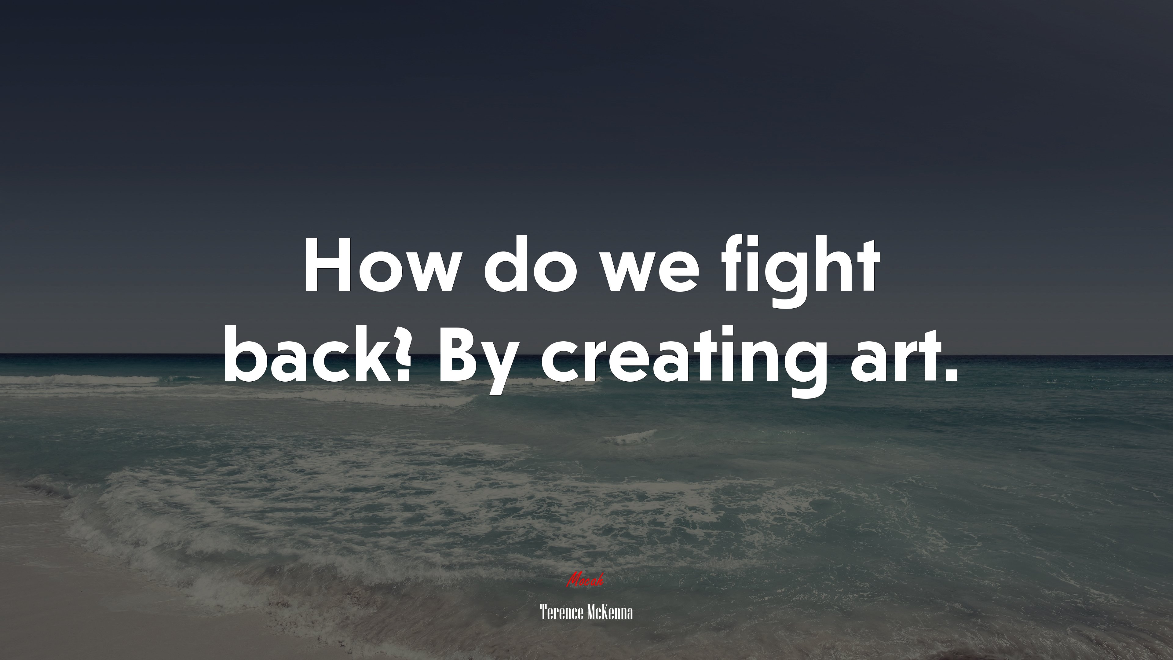 How do we fight back? By creating art. | Terence McKenna quote HD Wallpaper