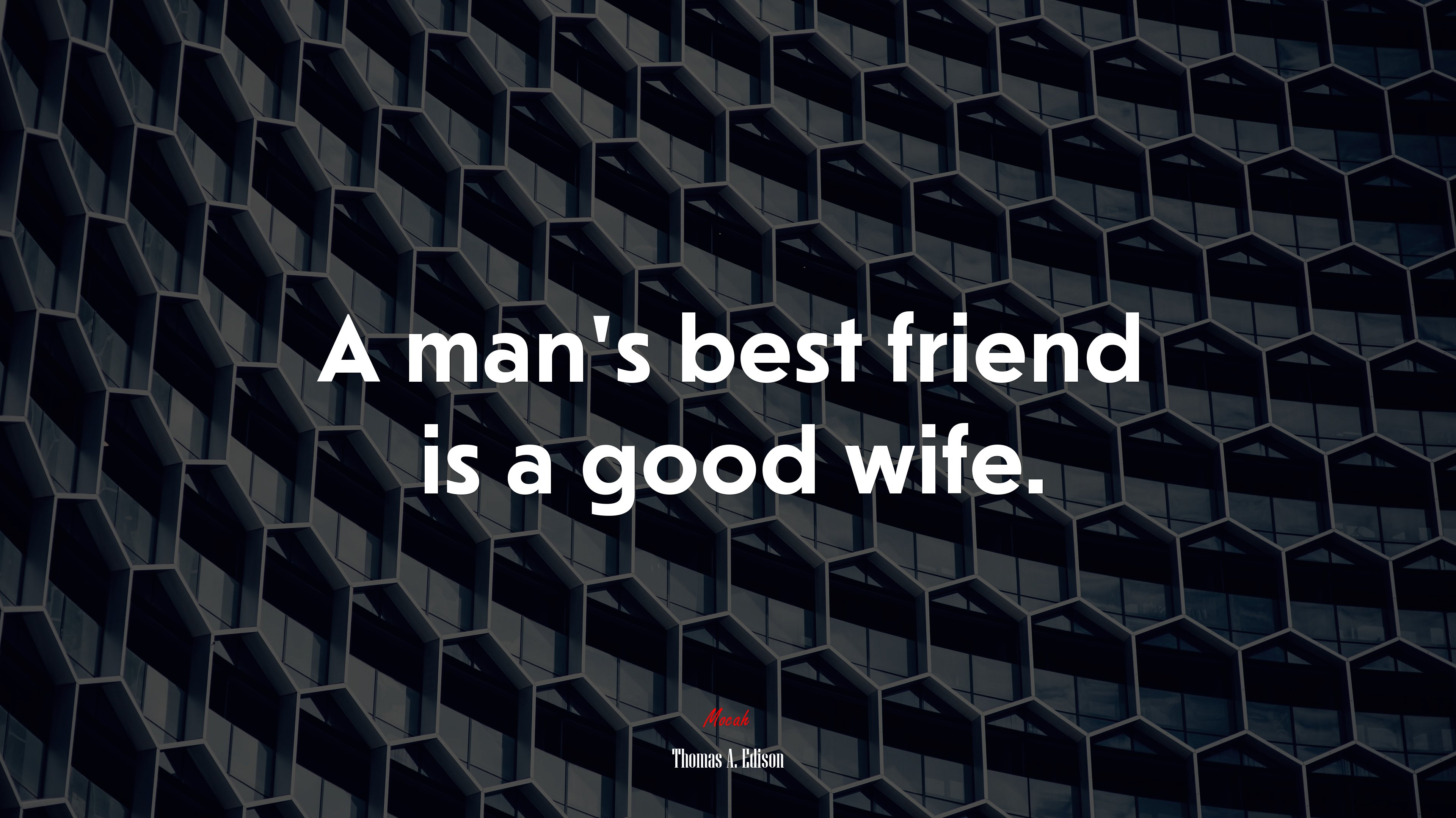 A man’s best friend is a good wife. | Thomas A. Edison quote HD Wallpaper