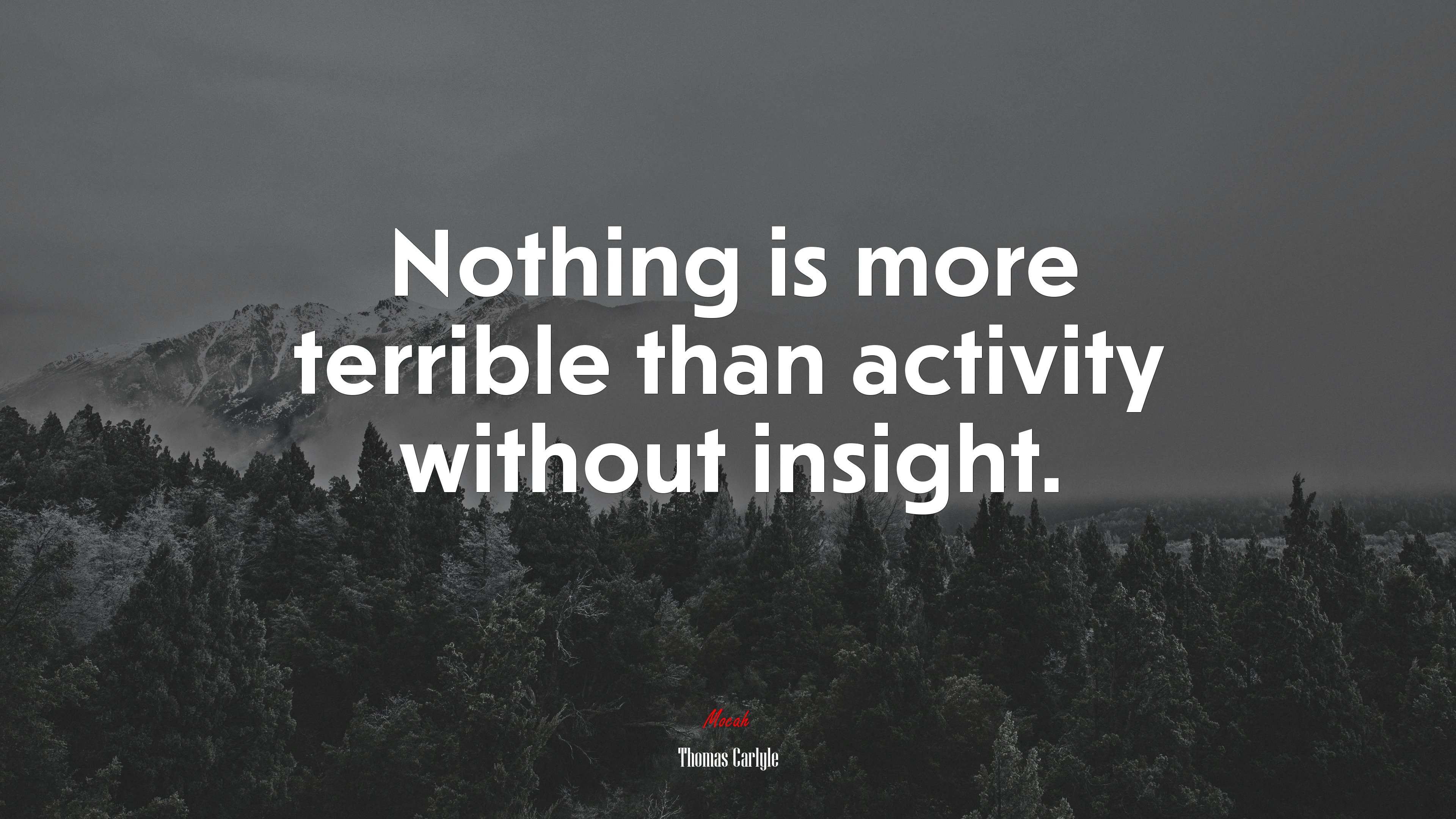 Nothing is more terrible than activity without insight. | Thomas Carlyle quote HD Wallpaper