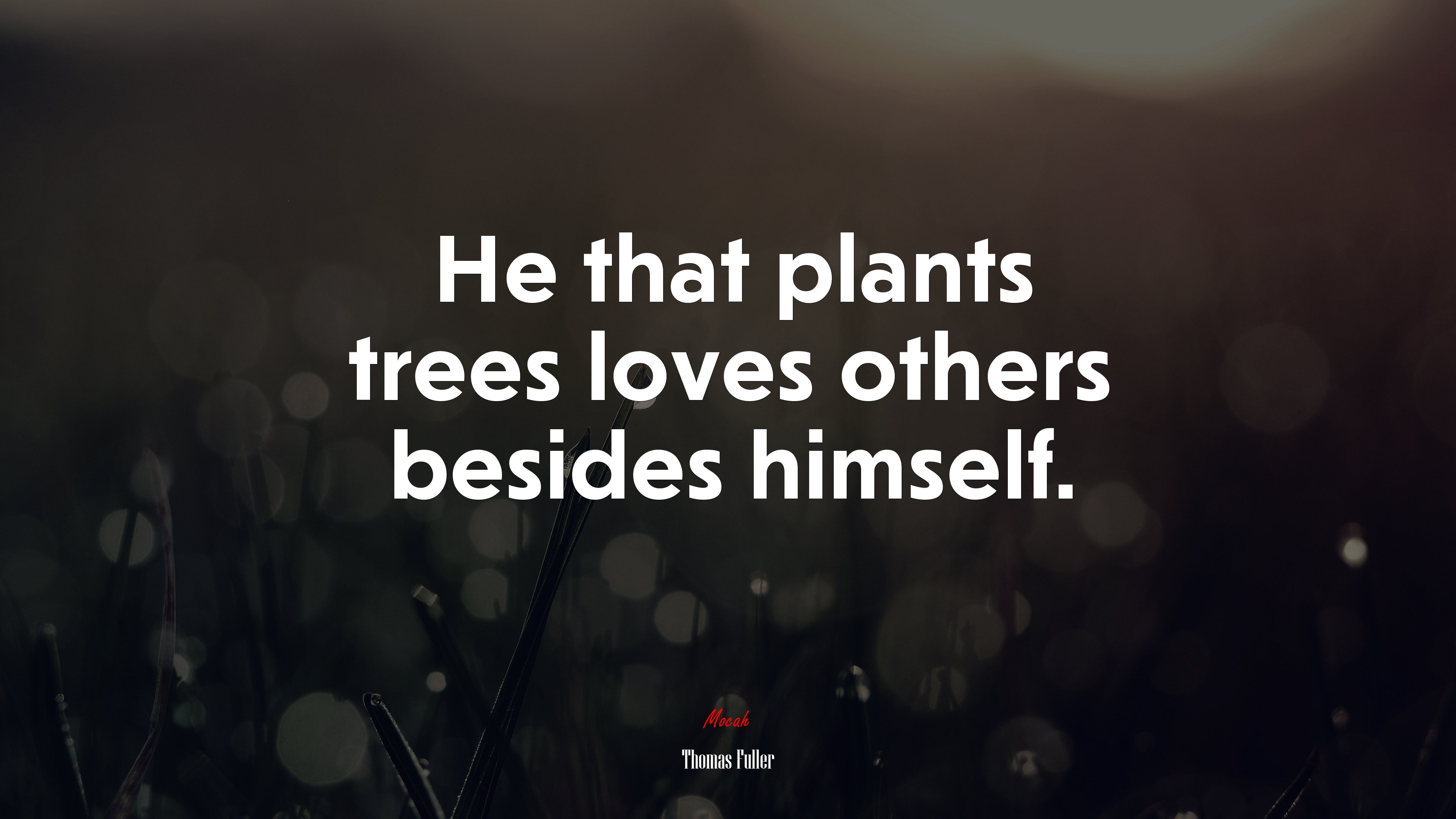 He that plants trees loves others besides himself. | Thomas Fuller quote HD Wallpaper