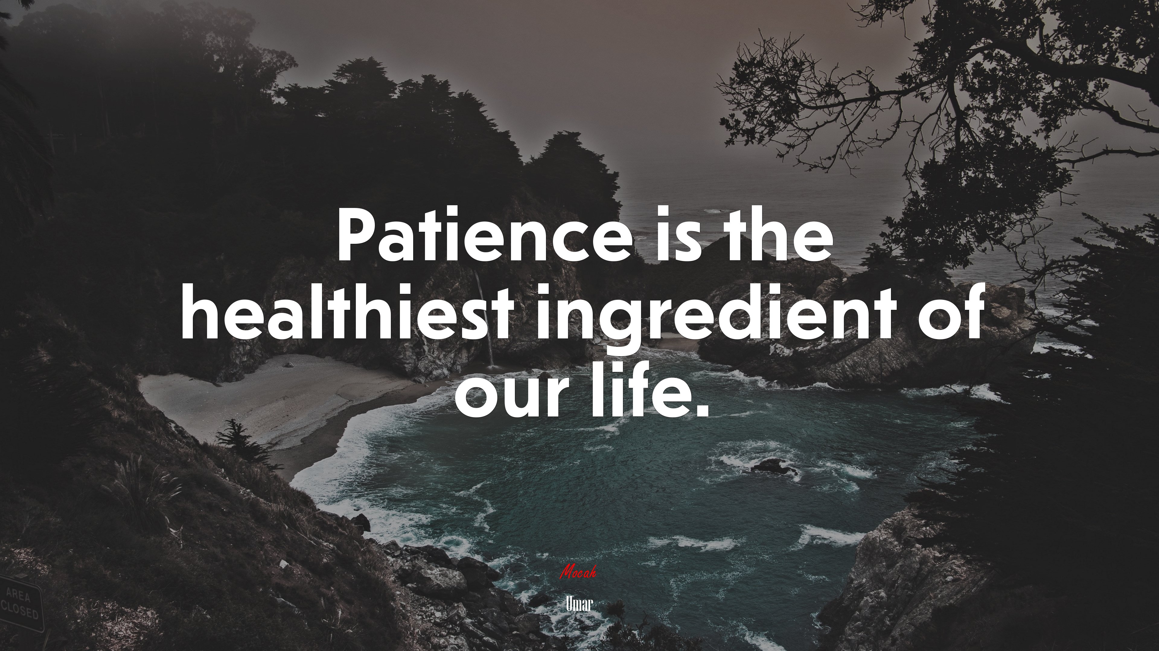 Patience is the healthiest ingredient of our life. | Umar quote HD Wallpaper