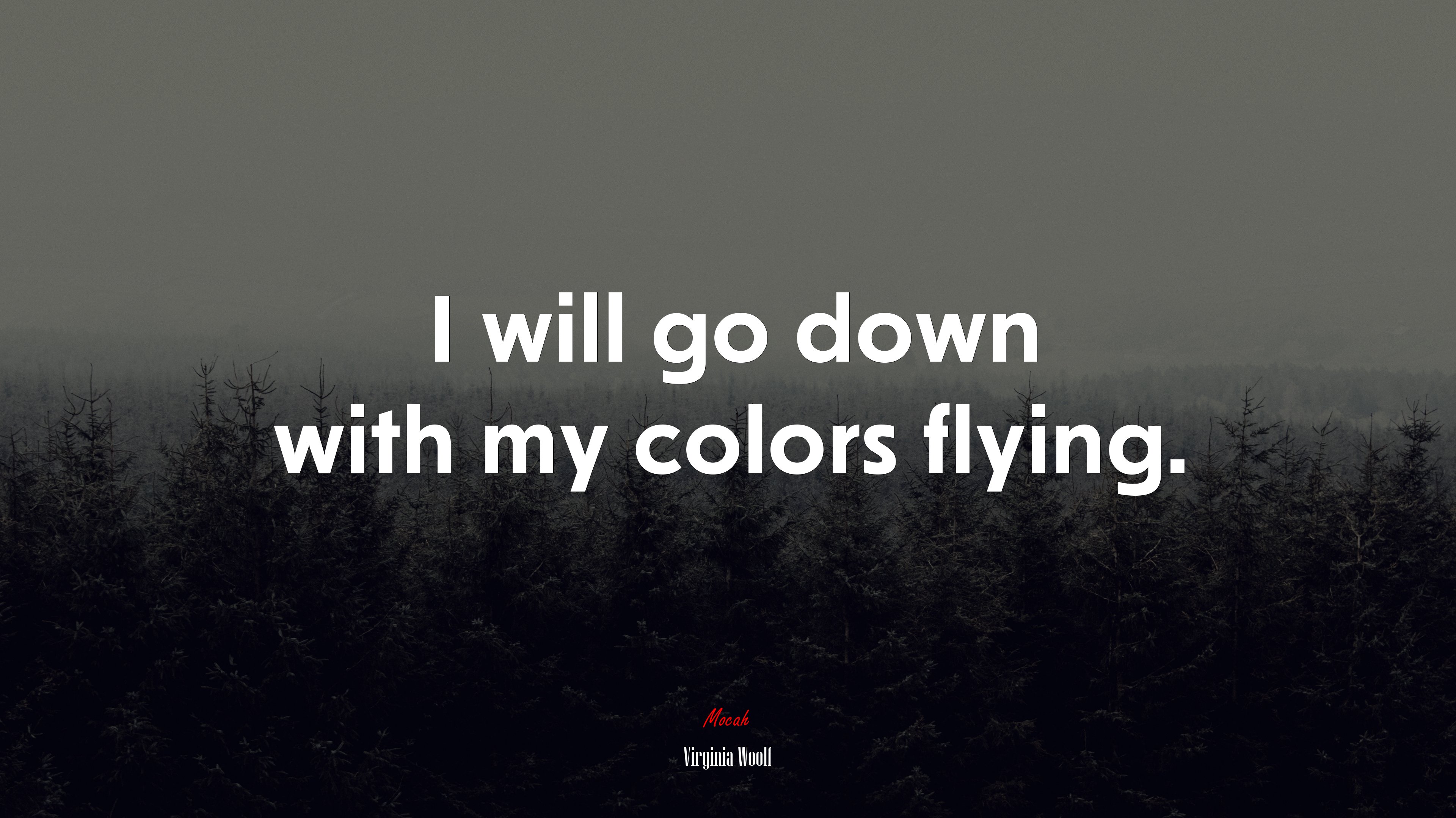 I will go down with my colors flying. | Virginia Woolf quote HD Wallpaper