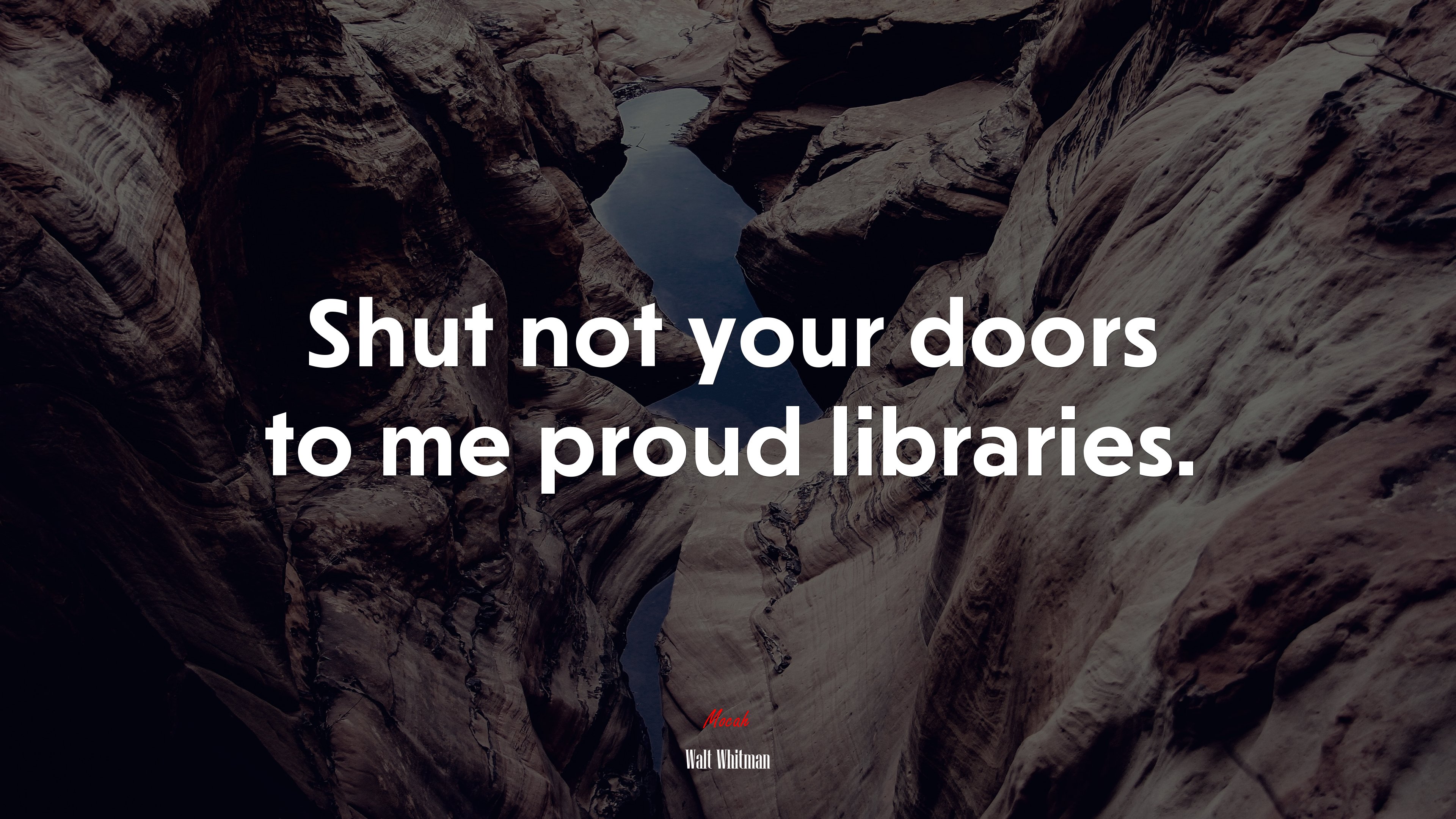 Shut not your doors to me proud libraries. | Walt Whitman quote HD Wallpaper