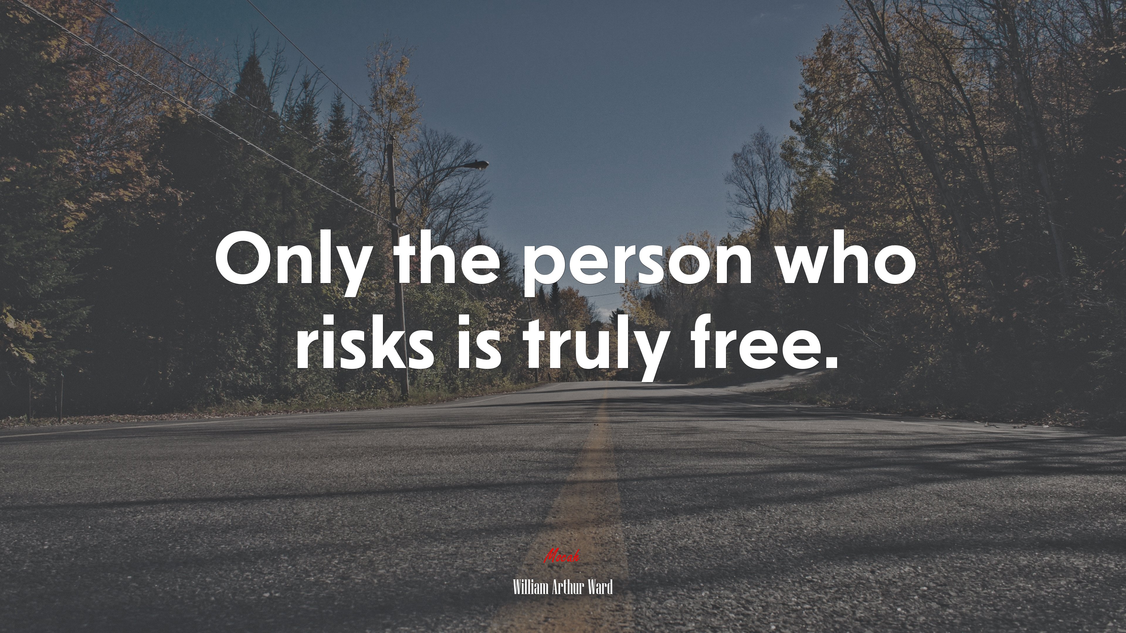 Only the person who risks is truly free. | William Arthur Ward quote HD Wallpaper