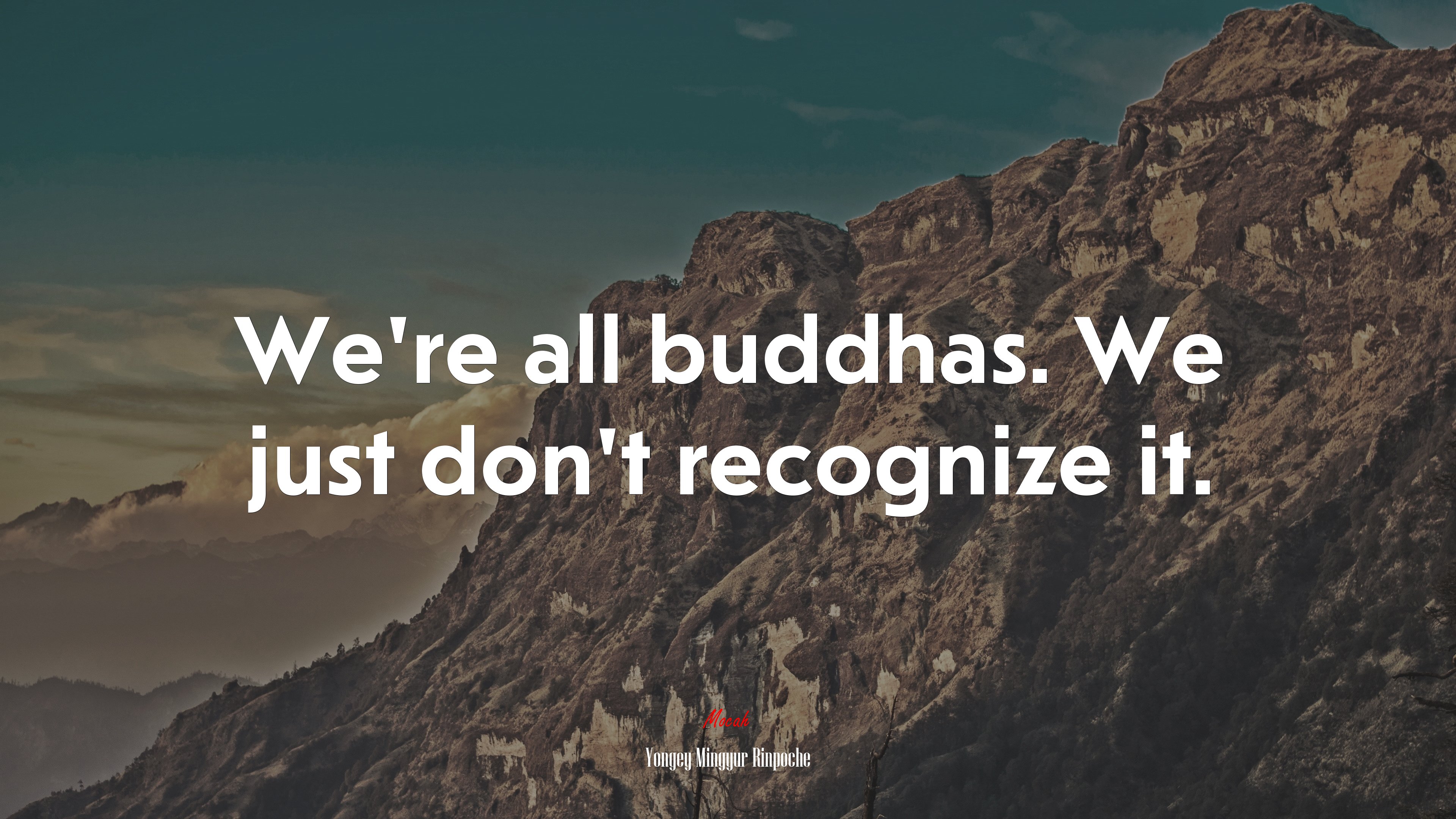 We’re all buddhas. We just don’t recognize it. | Yongey Mingyur Rinpoche quote HD Wallpaper