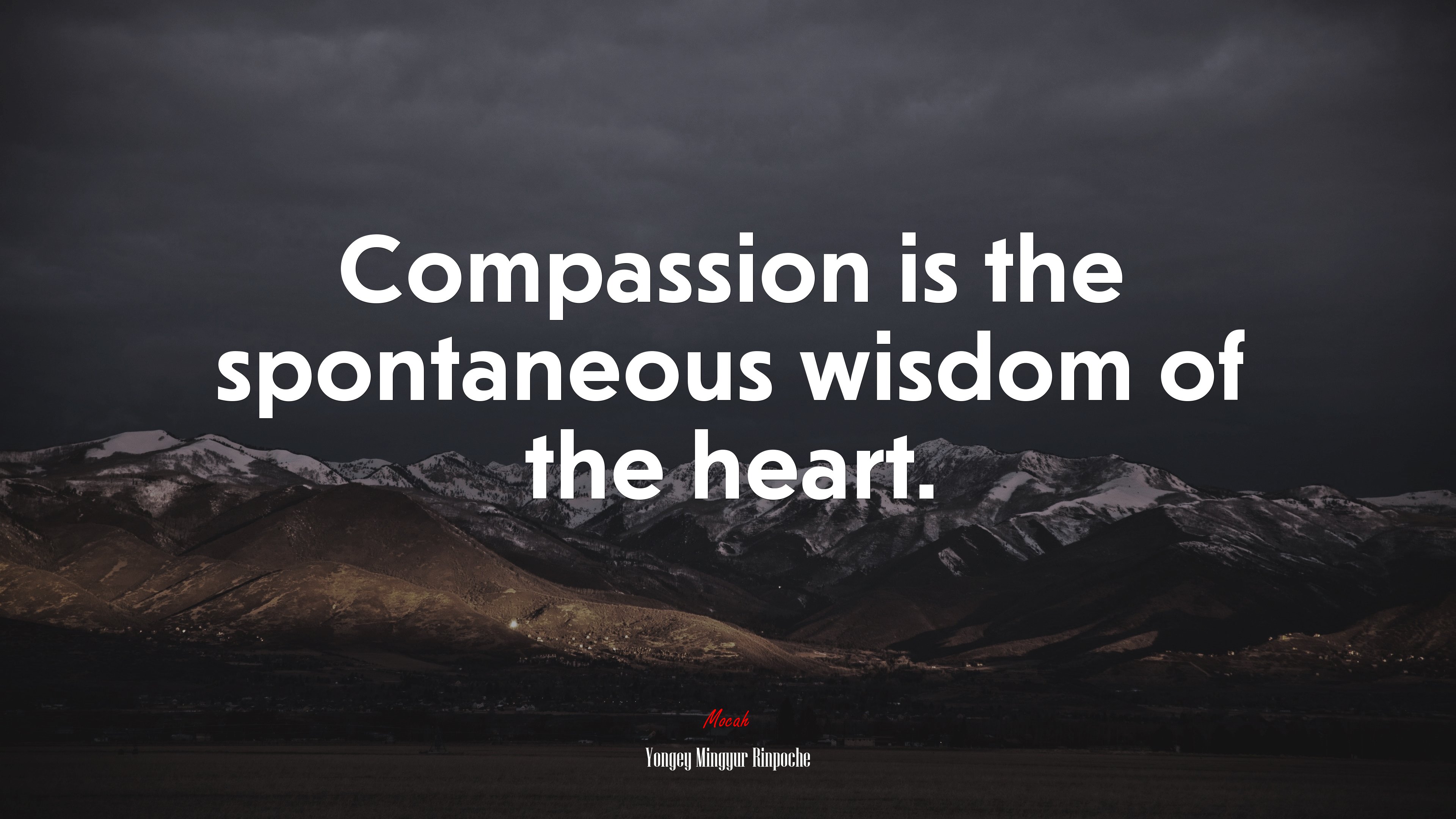 Compassion is the spontaneous wisdom of the heart. | Yongey Mingyur Rinpoche quote HD Wallpaper
