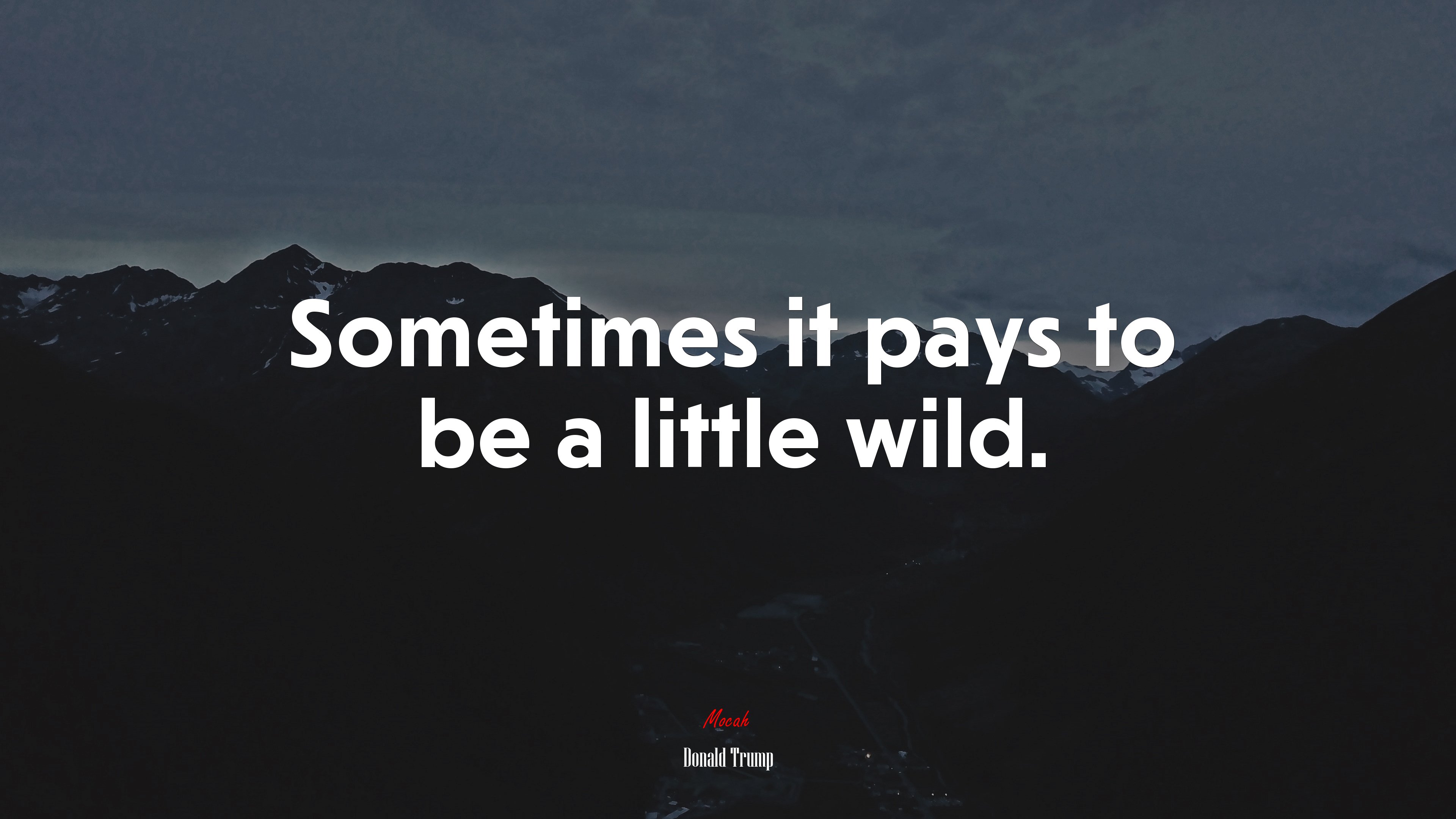 Sometimes it pays to be a little wild. | Donald Trump quote HD Wallpaper