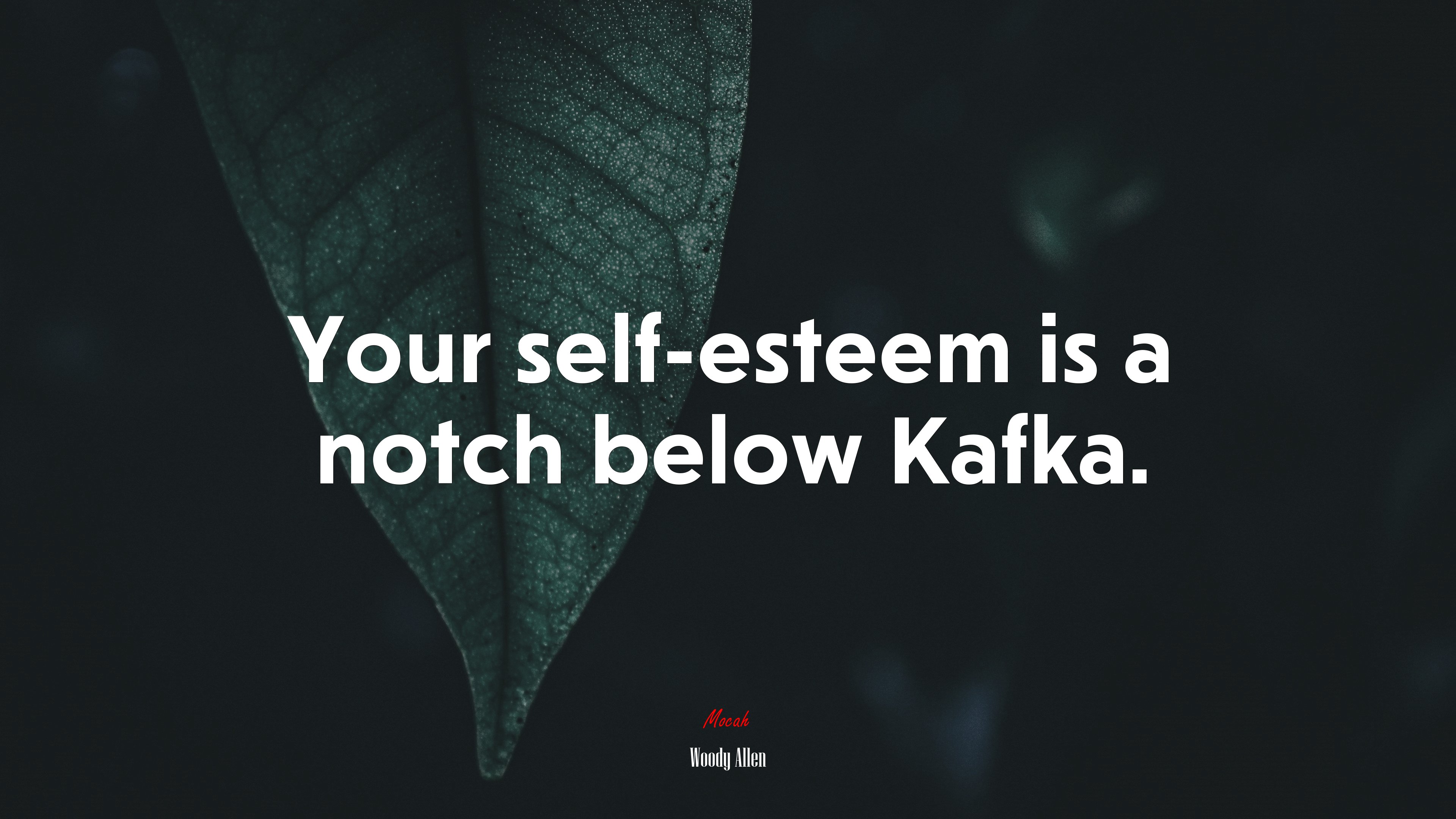Your self-esteem is a notch below Kafka. | Woody Allen quote HD Wallpaper