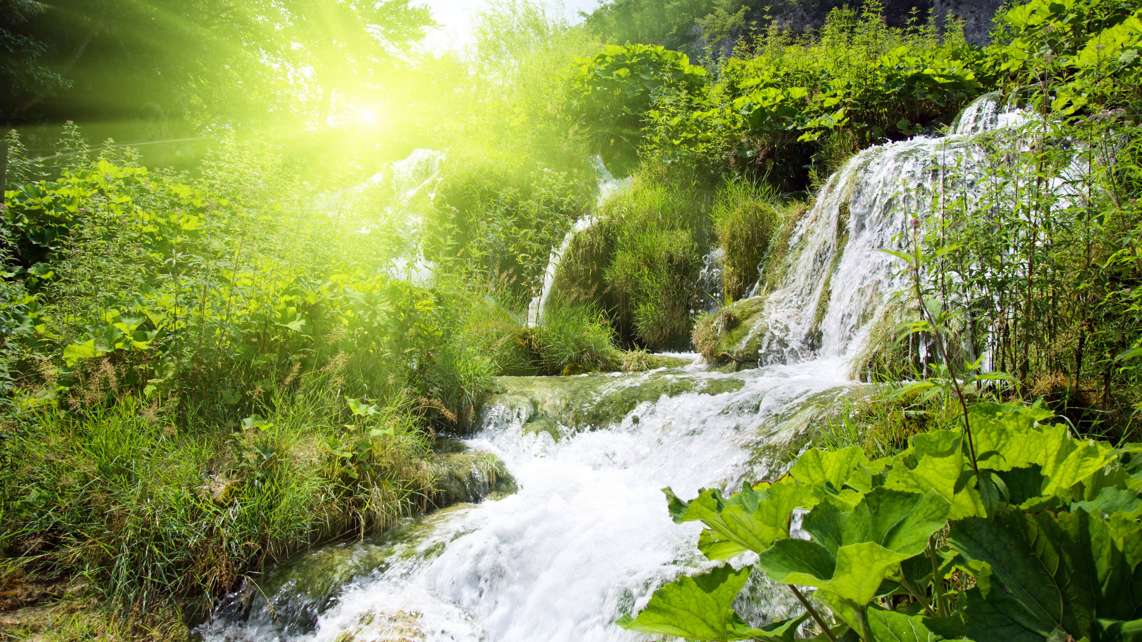 Sunlight shines on a cascading waterfall in a green forest. HD Wallpaper