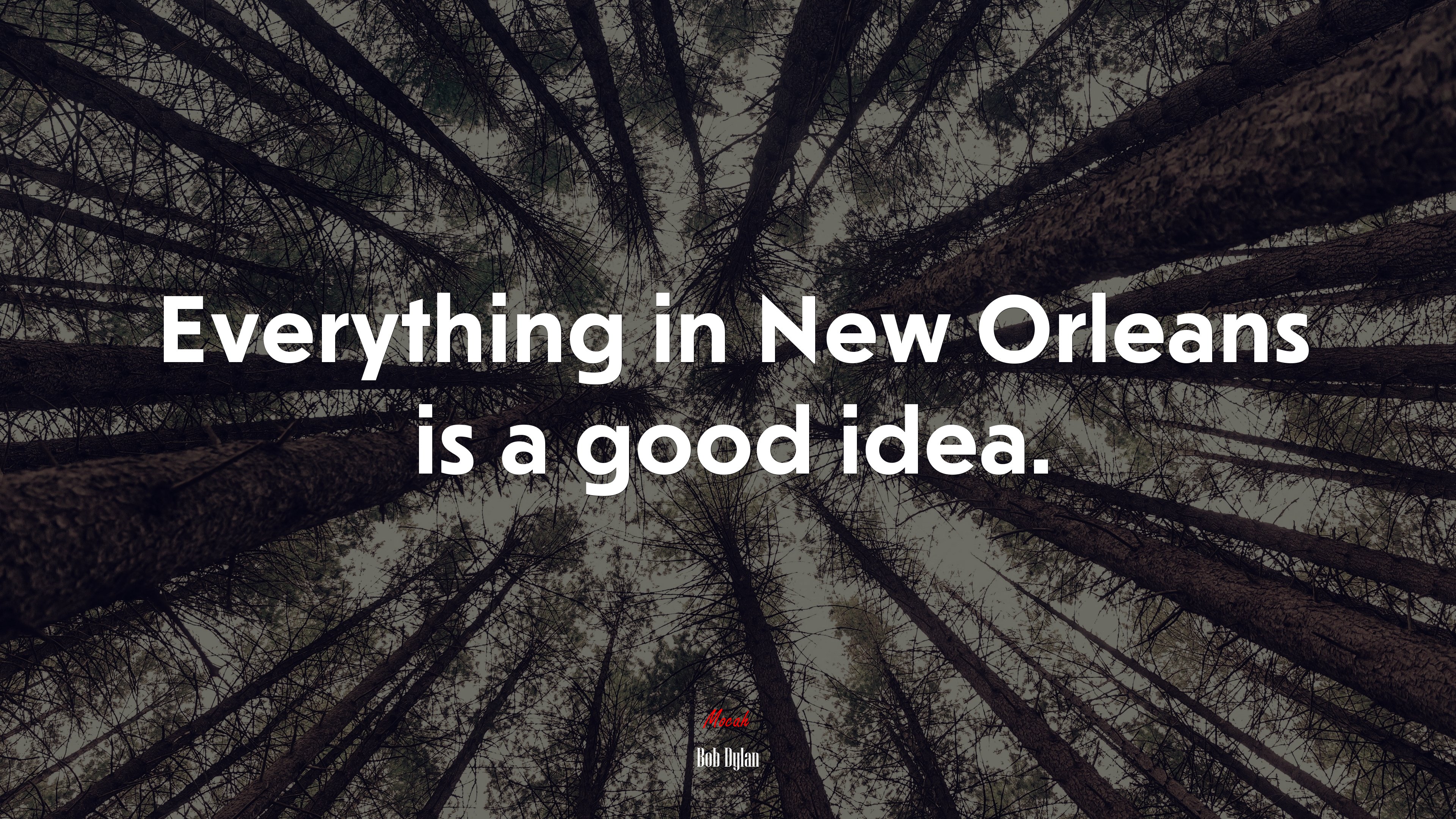Everything in New Orleans is a good idea. | Bob Dylan quote HD Wallpaper