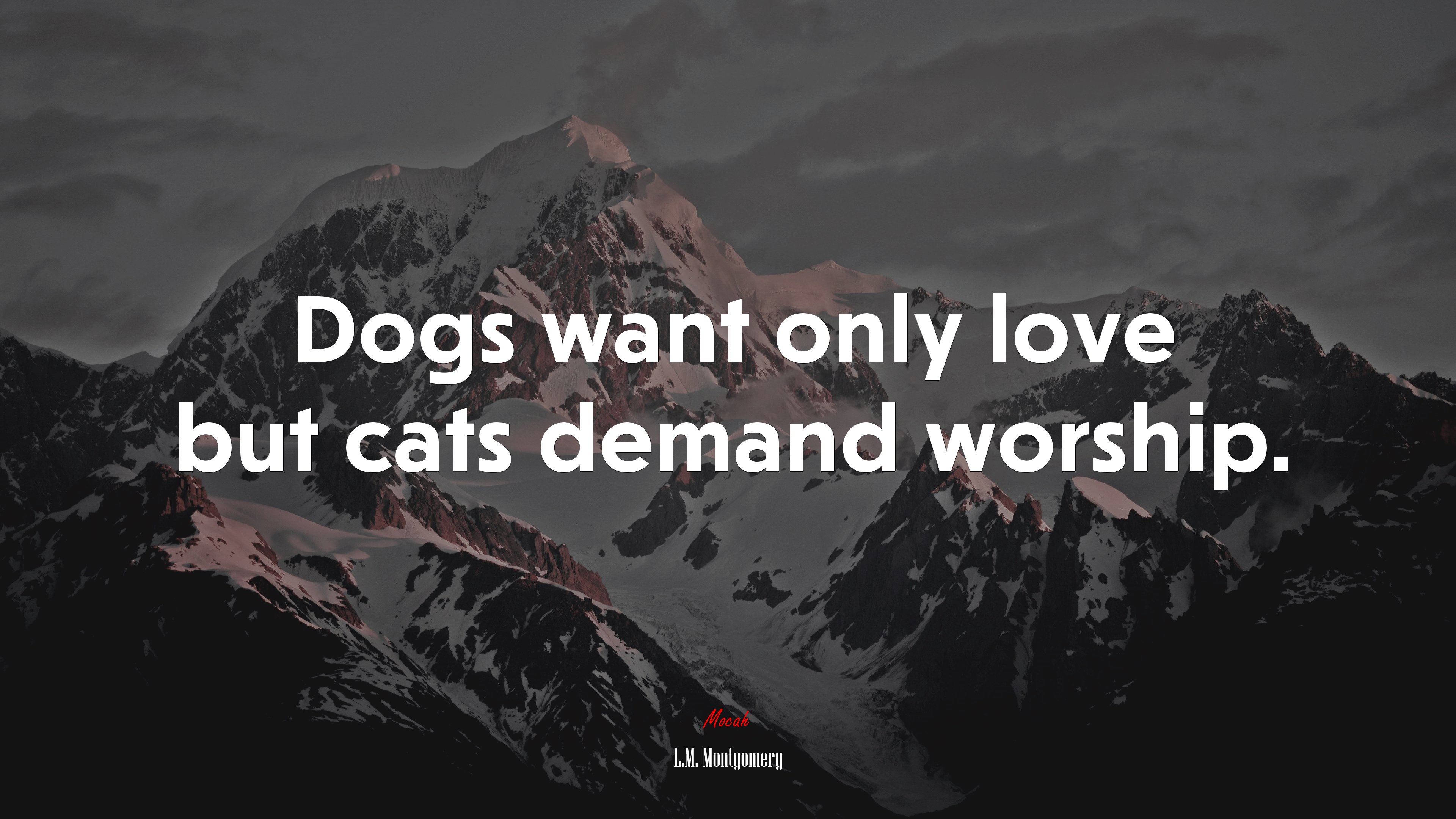 Dogs want only love but cats demand worship. | L.M. Montgomery quote HD Wallpaper