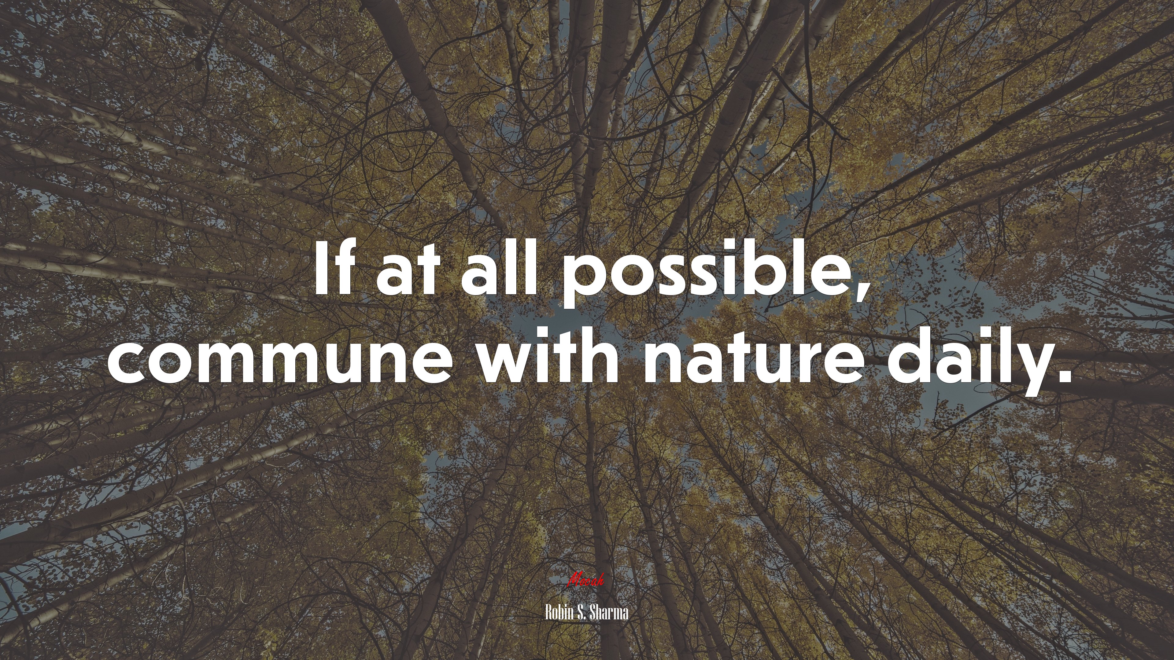 If at all possible, commune with nature daily. | Robin S. Sharma quote HD Wallpaper