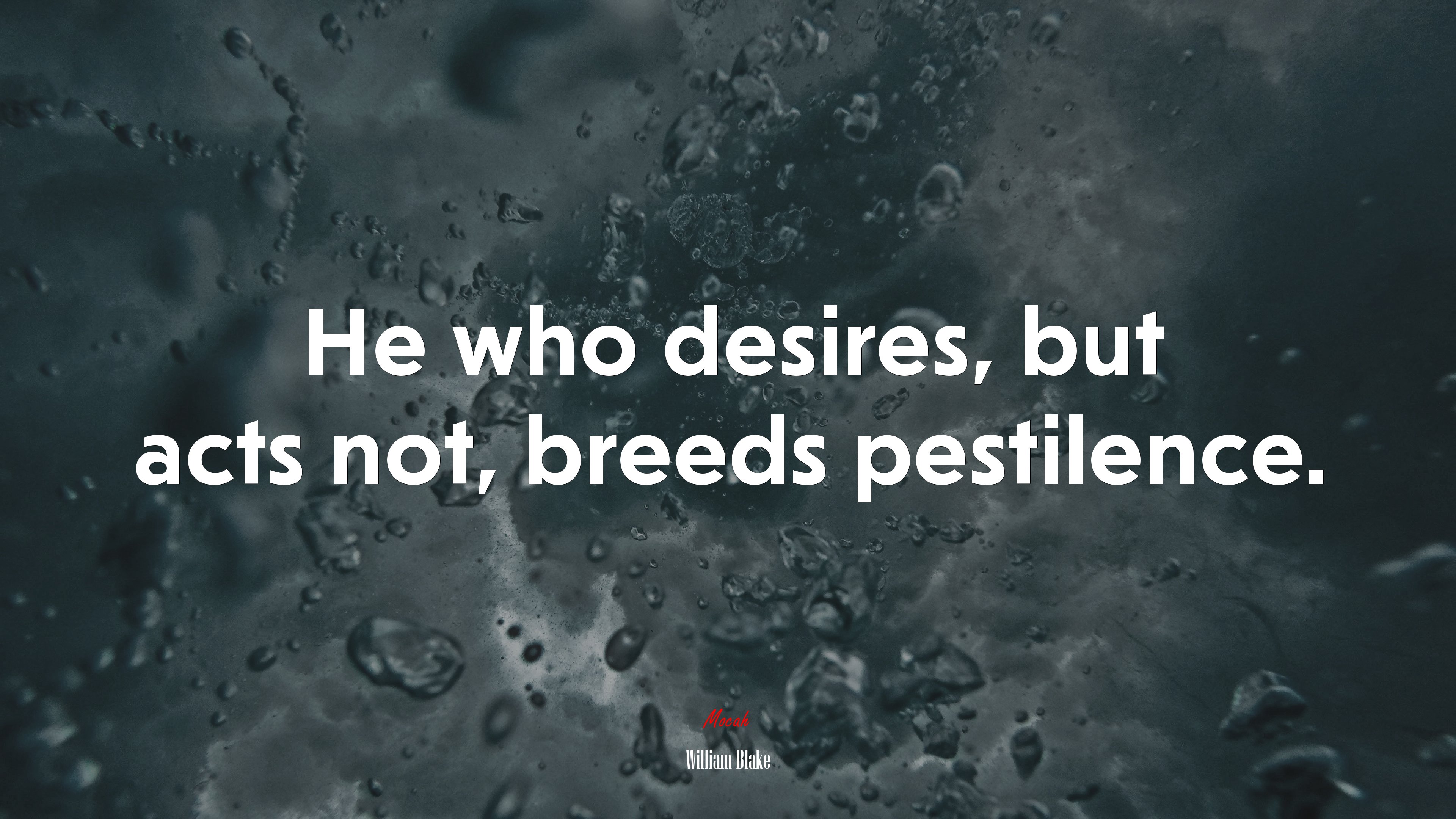 He who desires, but acts not, breeds pestilence. | William Blake quote HD Wallpaper
