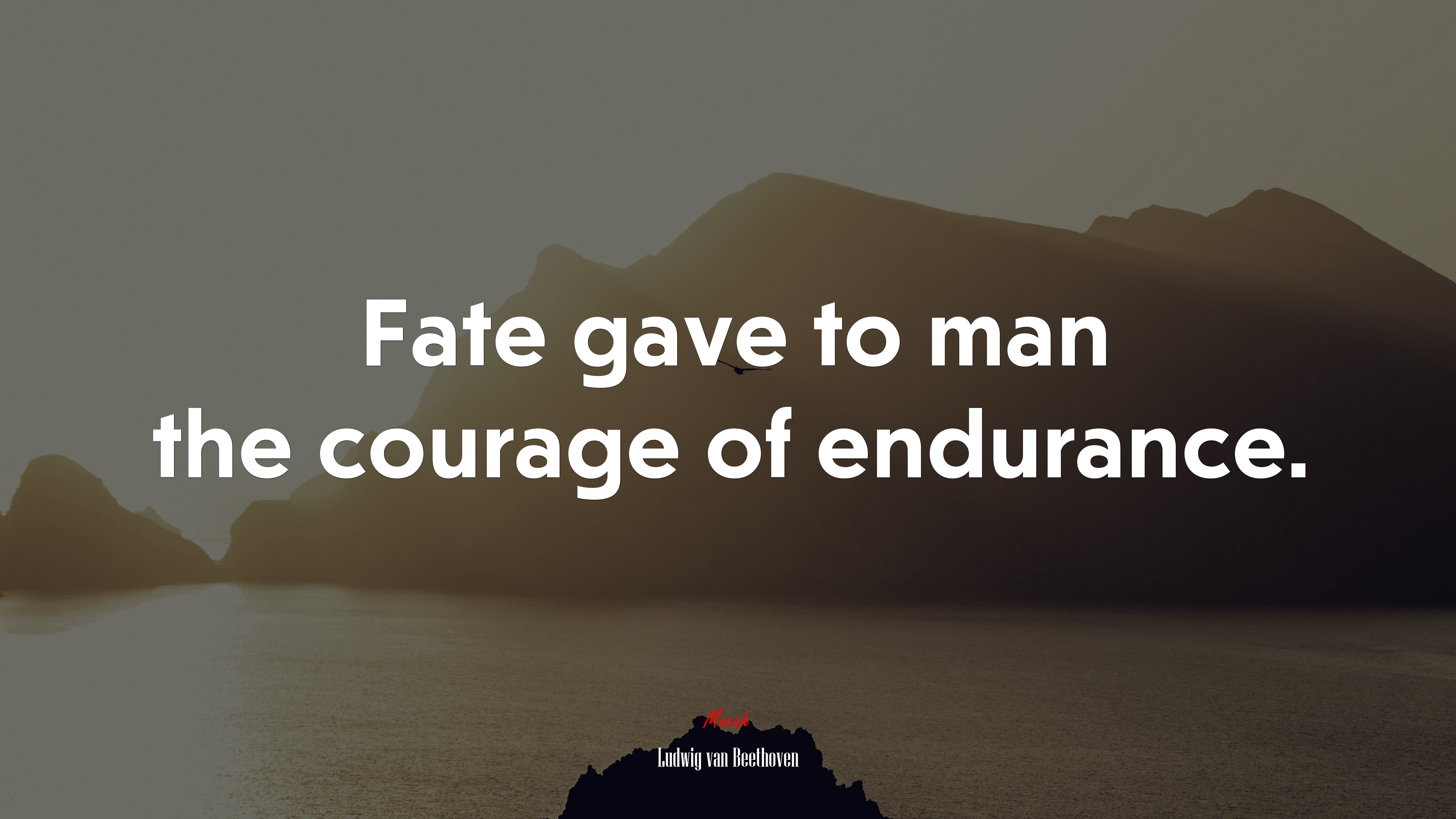 Fate gave to man the courage of endurance. | Ludwig van Beethoven quote HD Wallpaper