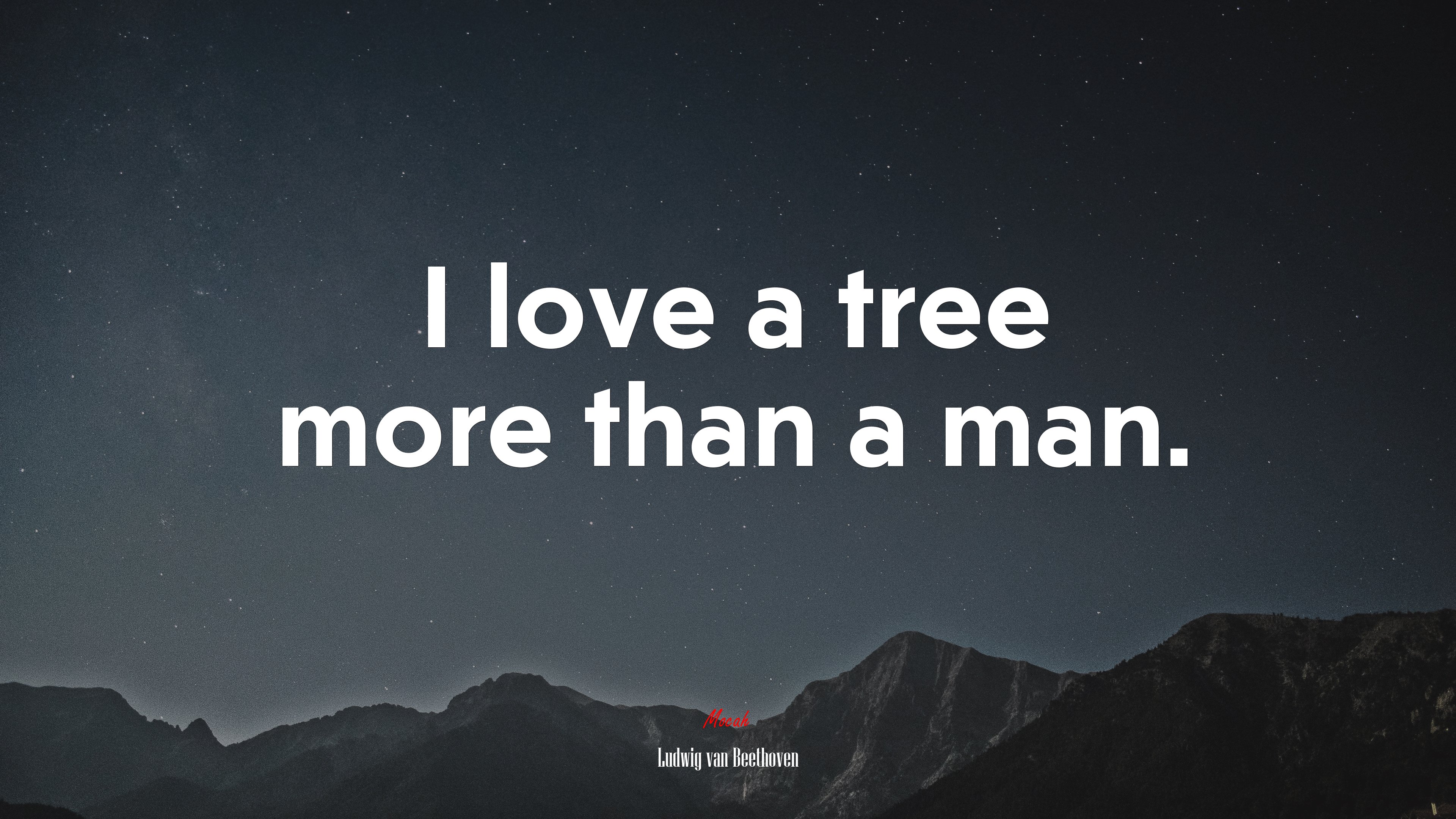 I love a tree more than a man. | Ludwig van Beethoven quote HD Wallpaper