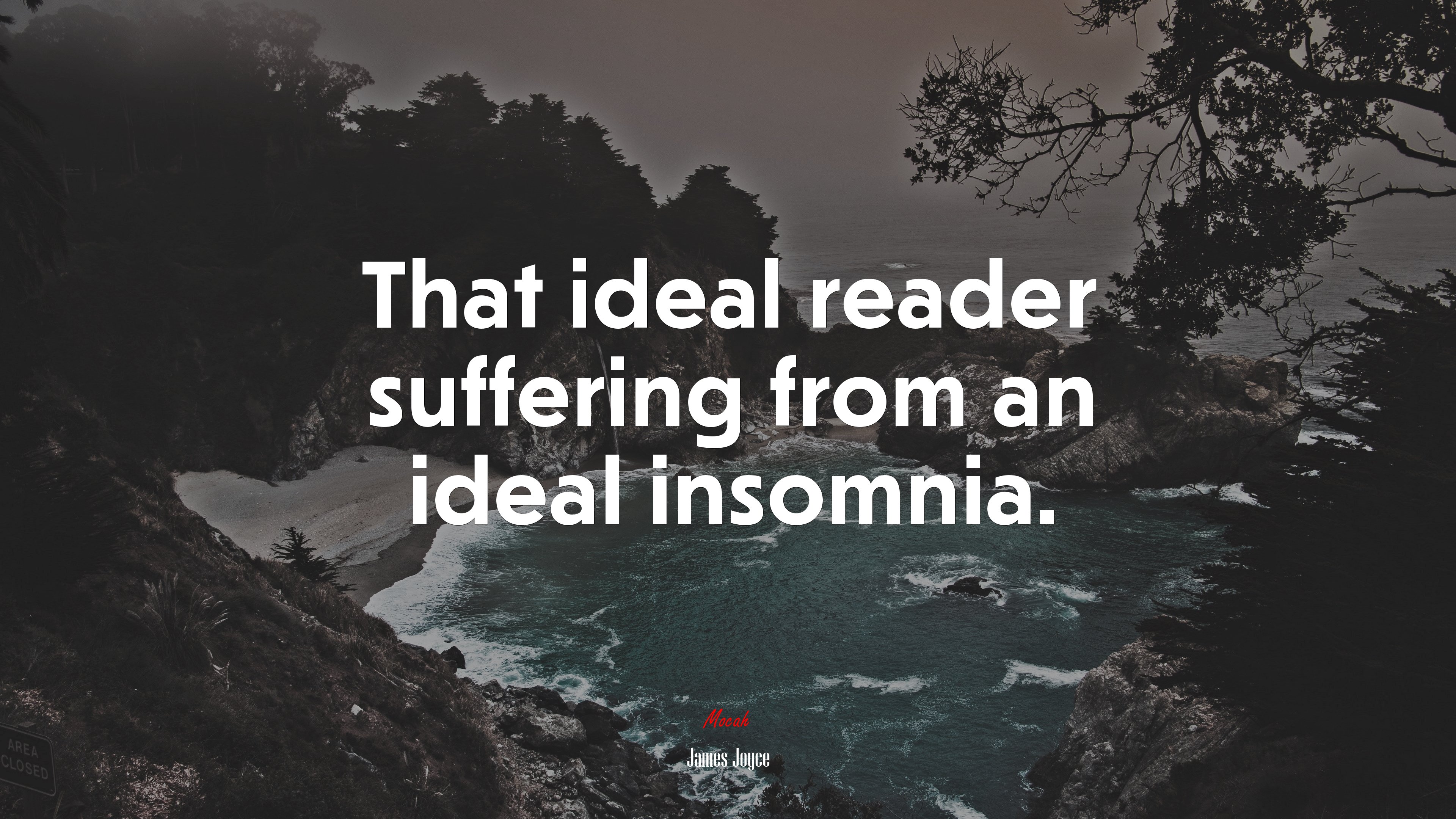 That ideal reader suffering from an ideal insomnia. | James Joyce quote HD Wallpaper