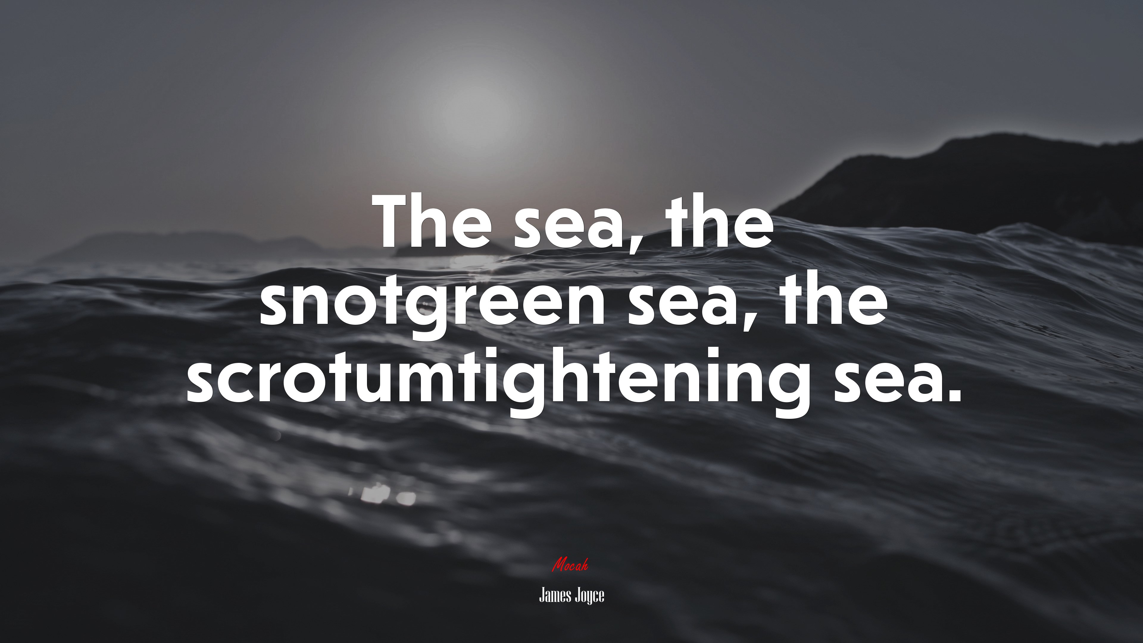 The sea, the snotgreen sea, the scrotumtightening sea. | James Joyce quote HD Wallpaper