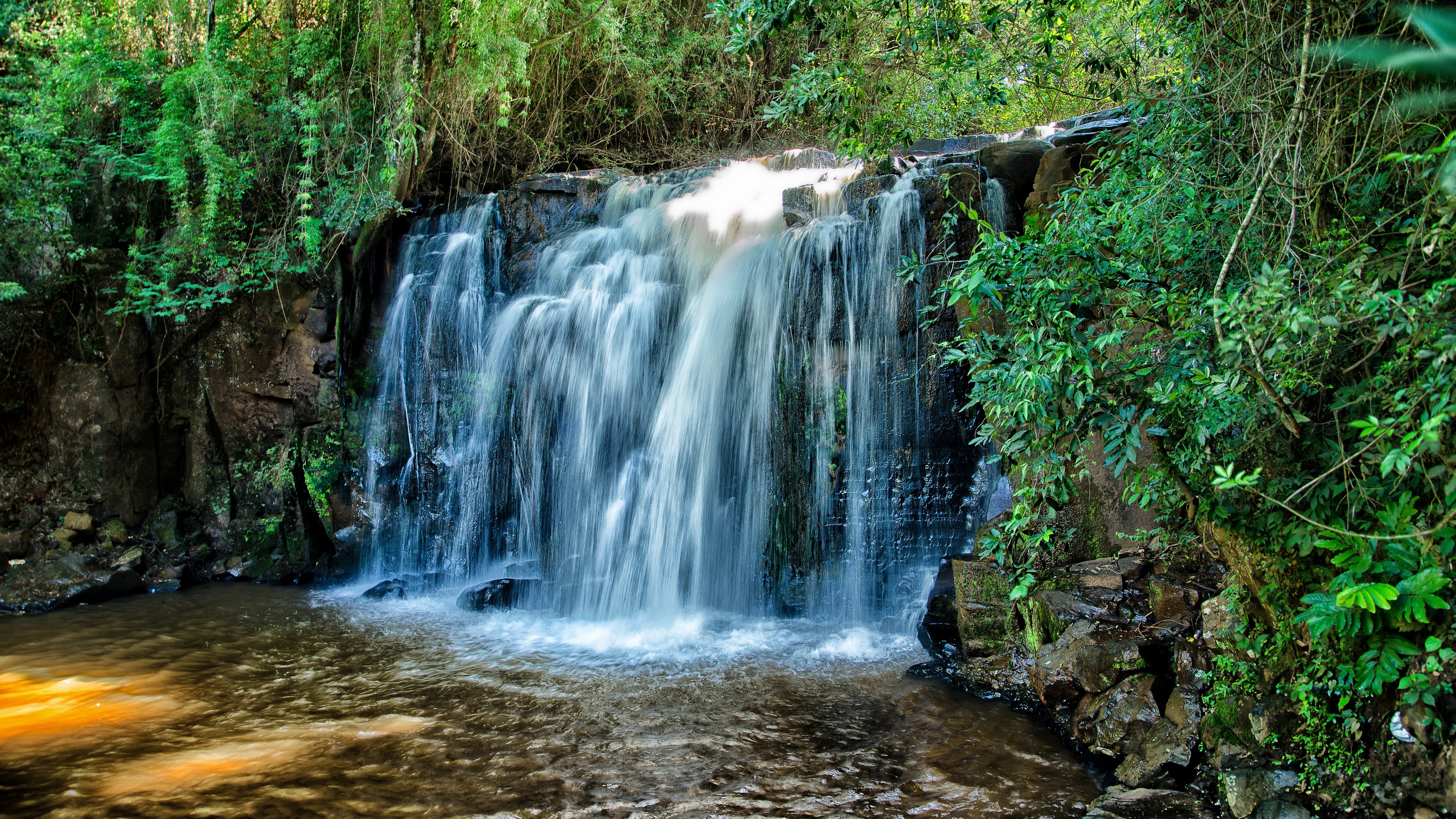 Waterfall cascading into a pool in a forest HD Wallpaper
