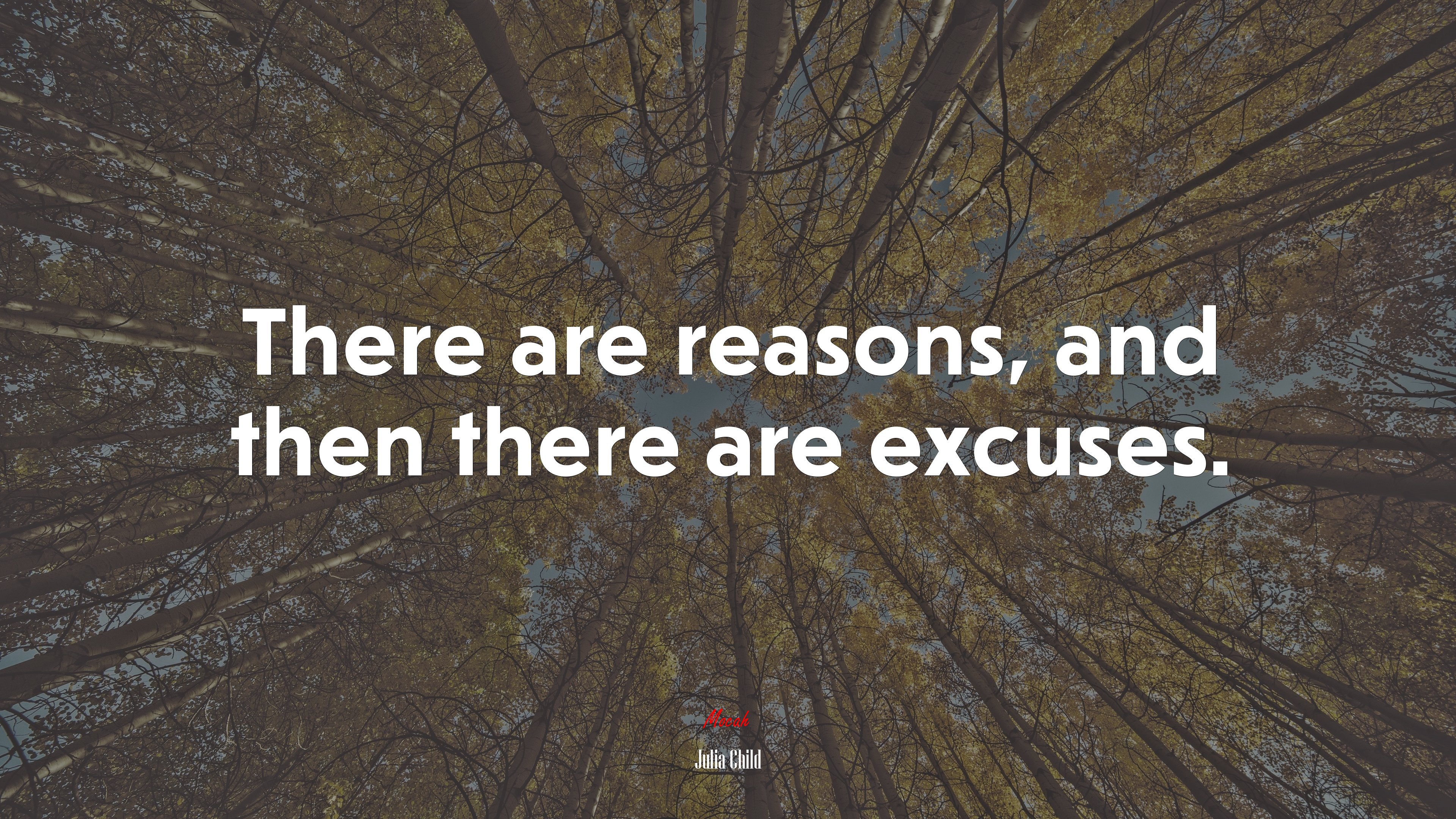 There are reasons, and then there are excuses. | Julia Child quote HD Wallpaper